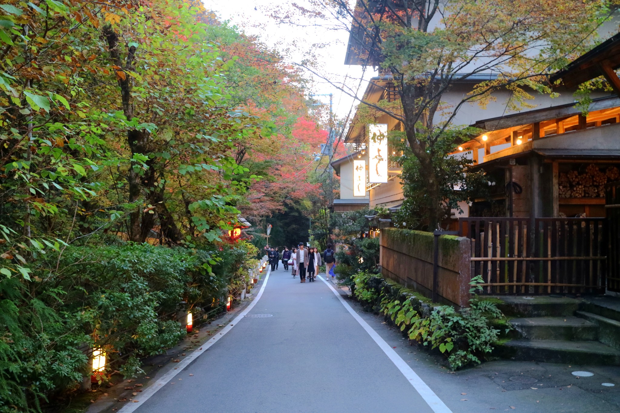 京都自助遊攻略