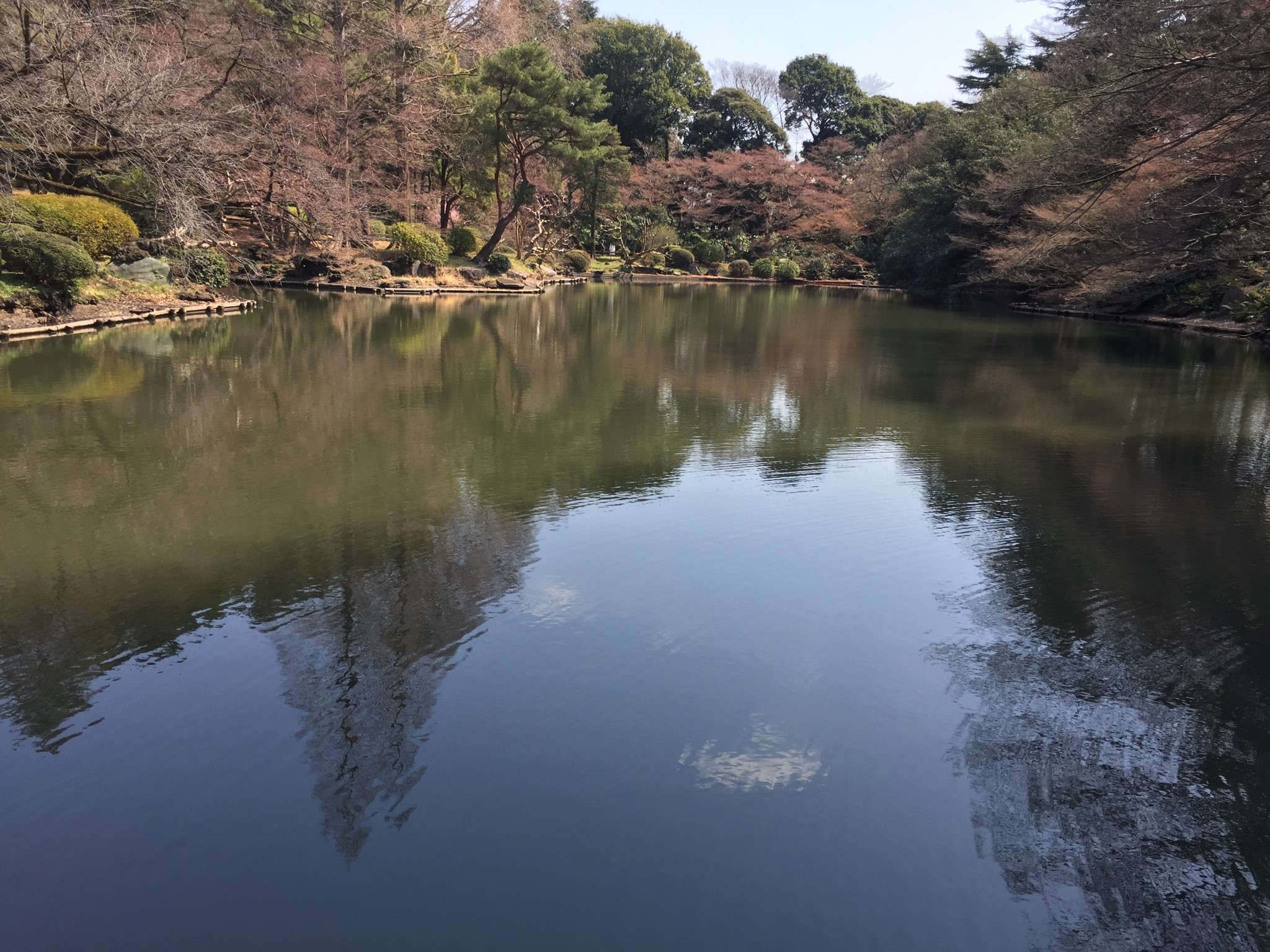 東京自助遊攻略