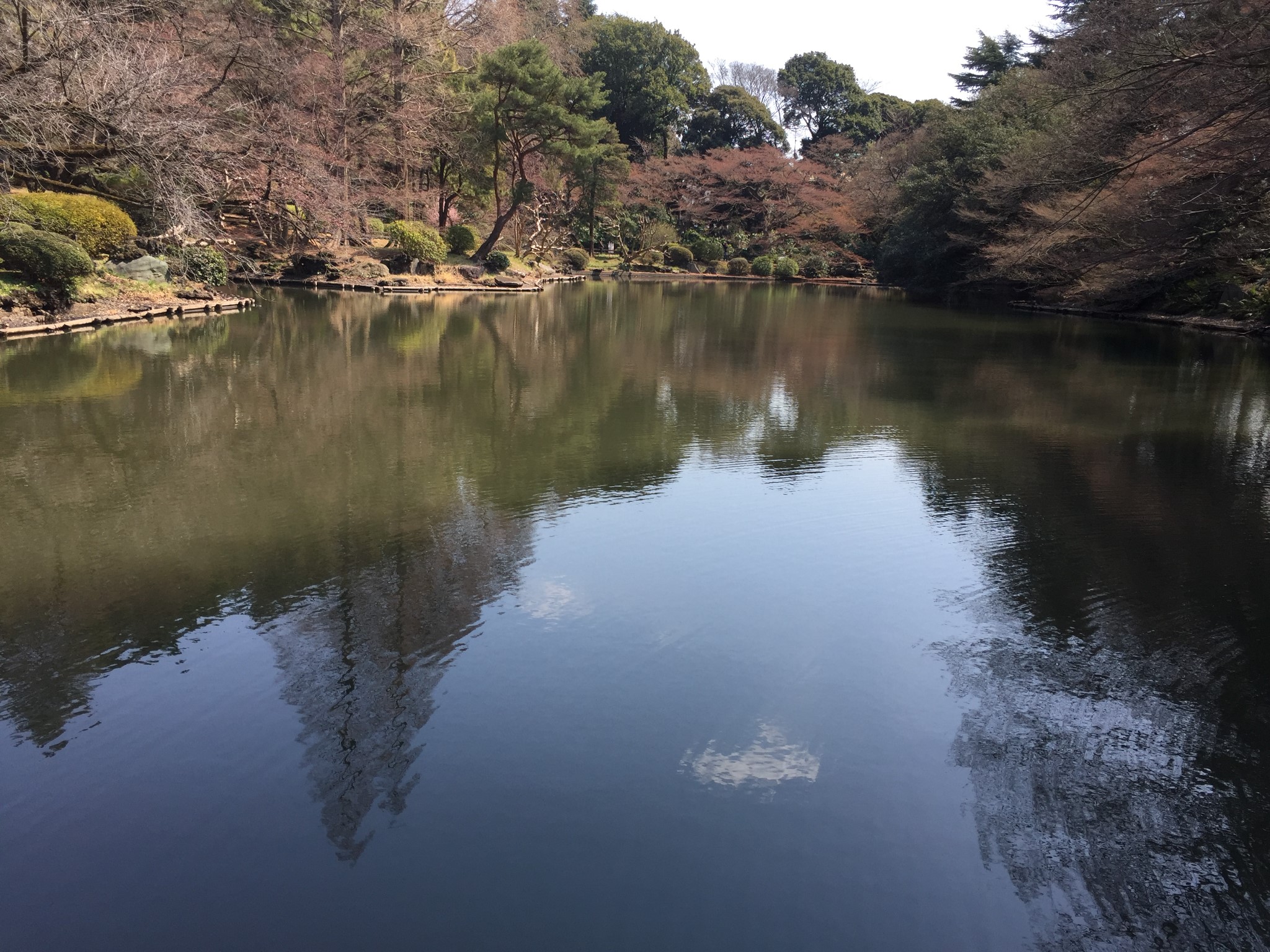 東京自助遊攻略