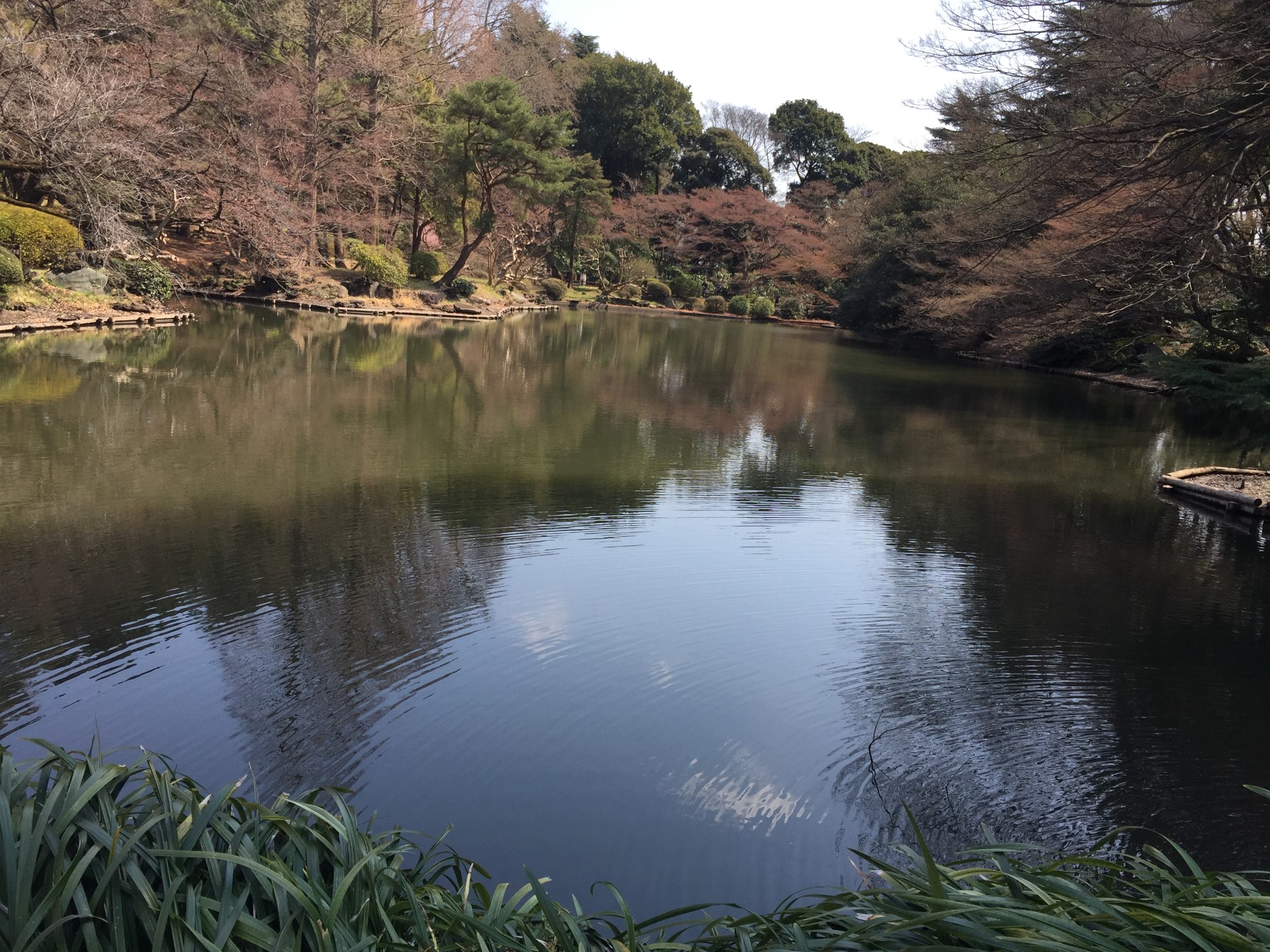 東京自助遊攻略