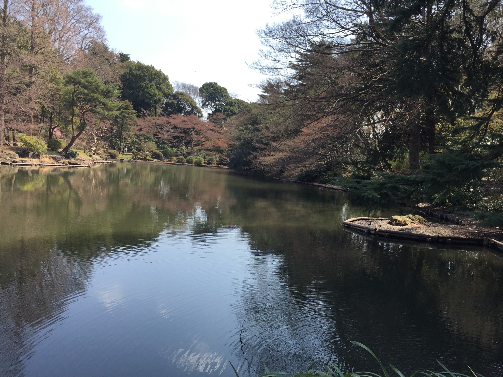 東京自助遊攻略