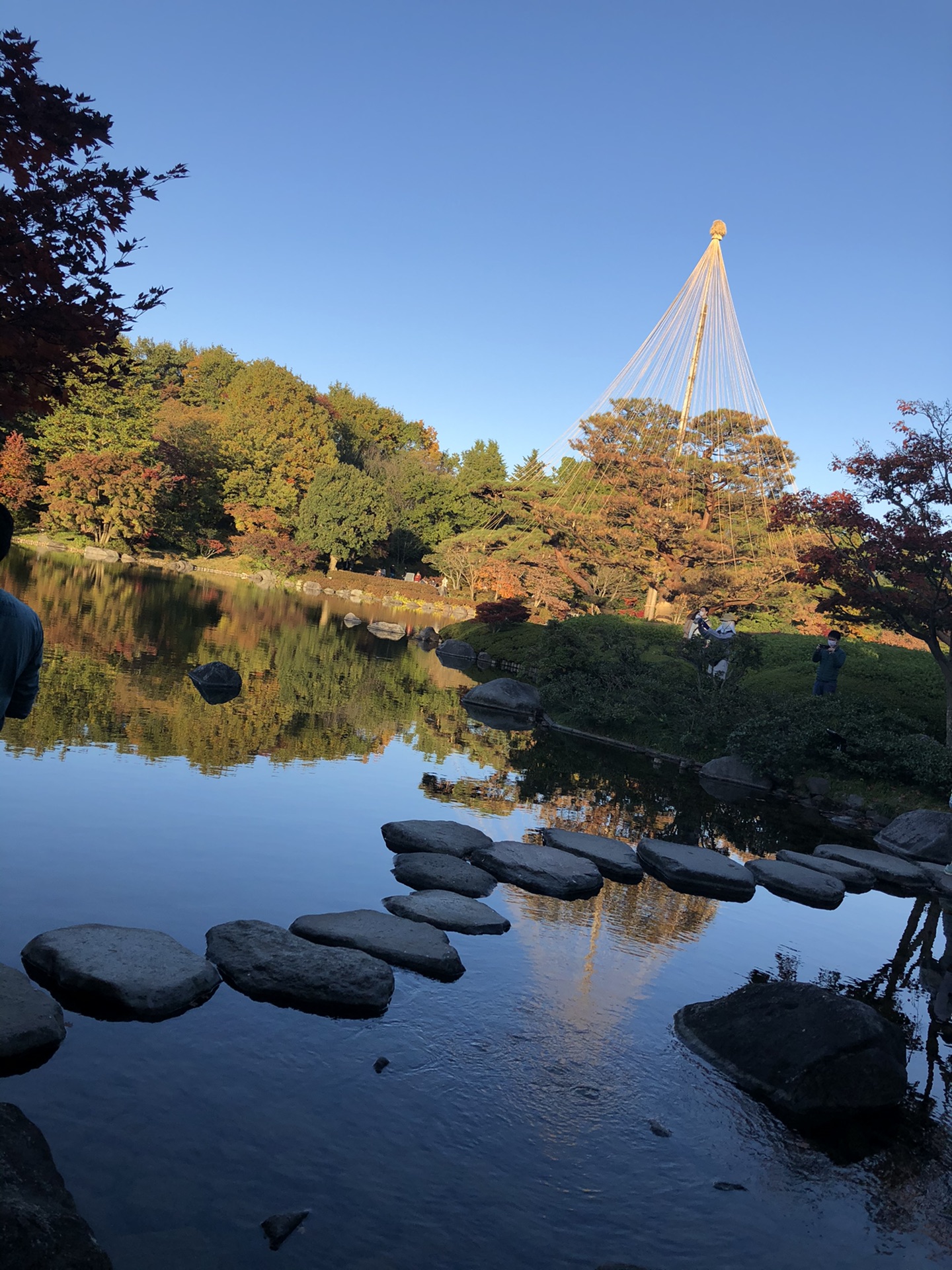 昭和纪念公园的第一个秋