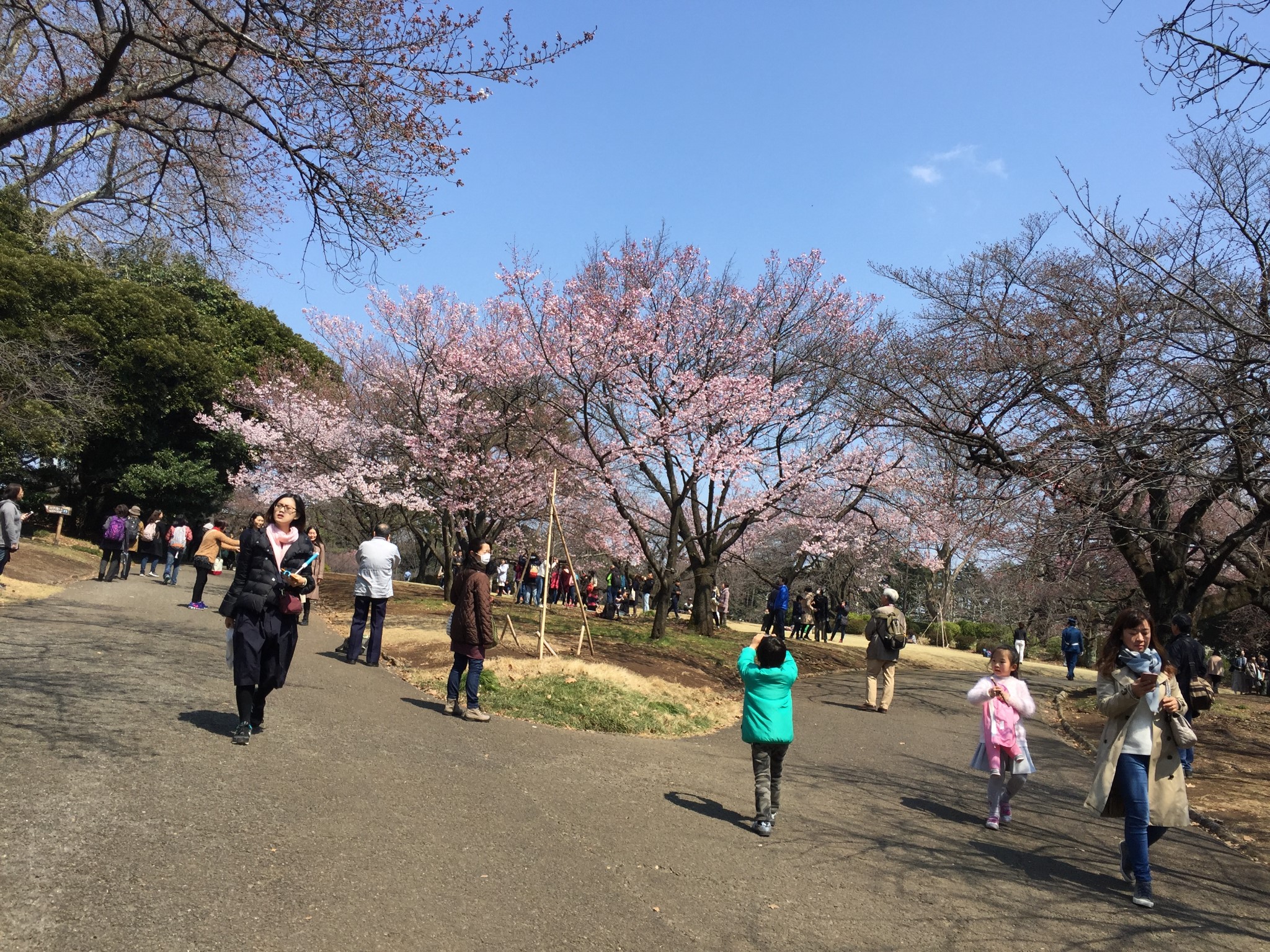 東京自助遊攻略