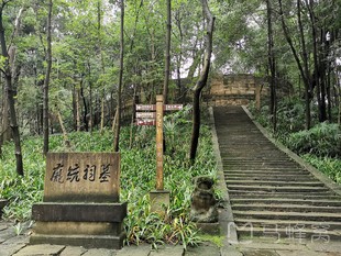 目的地 旅游攻略 去旅行 自由行 hot 跟团游 当地游 邮轮 签证 机票
