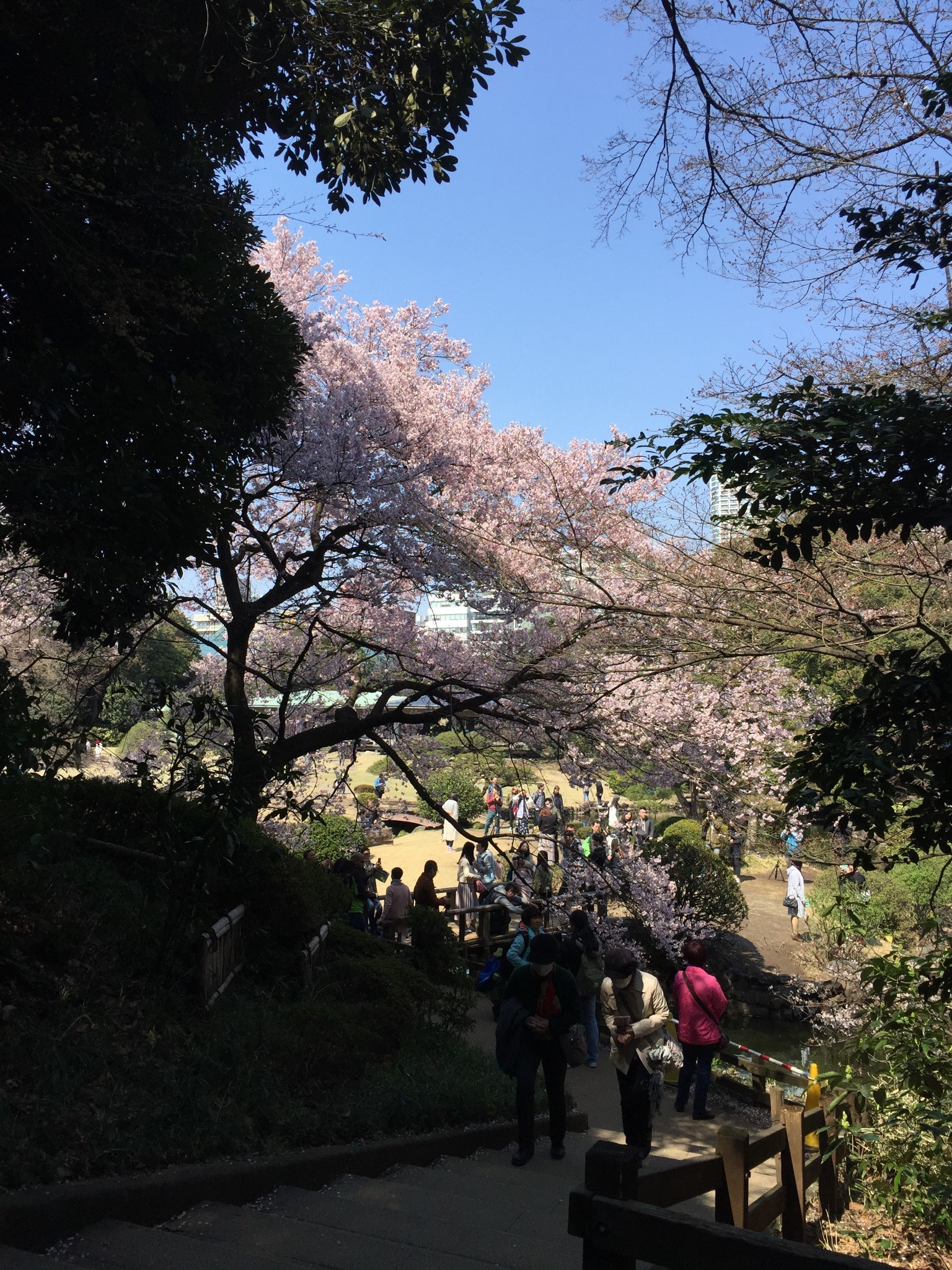 東京自助遊攻略