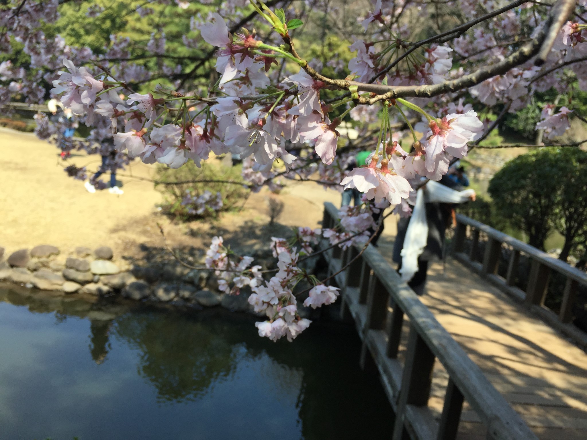 東京自助遊攻略