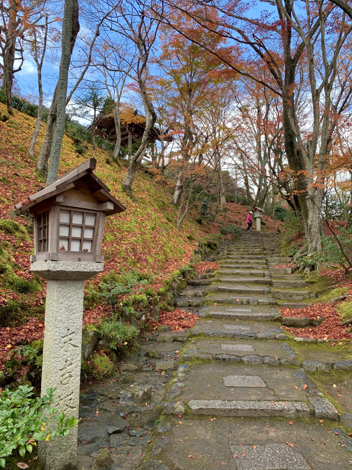 京都自助遊攻略