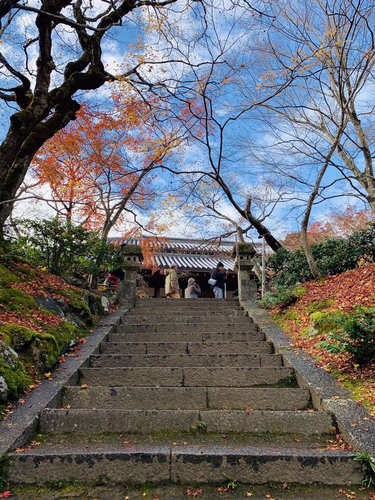 京都自助遊攻略