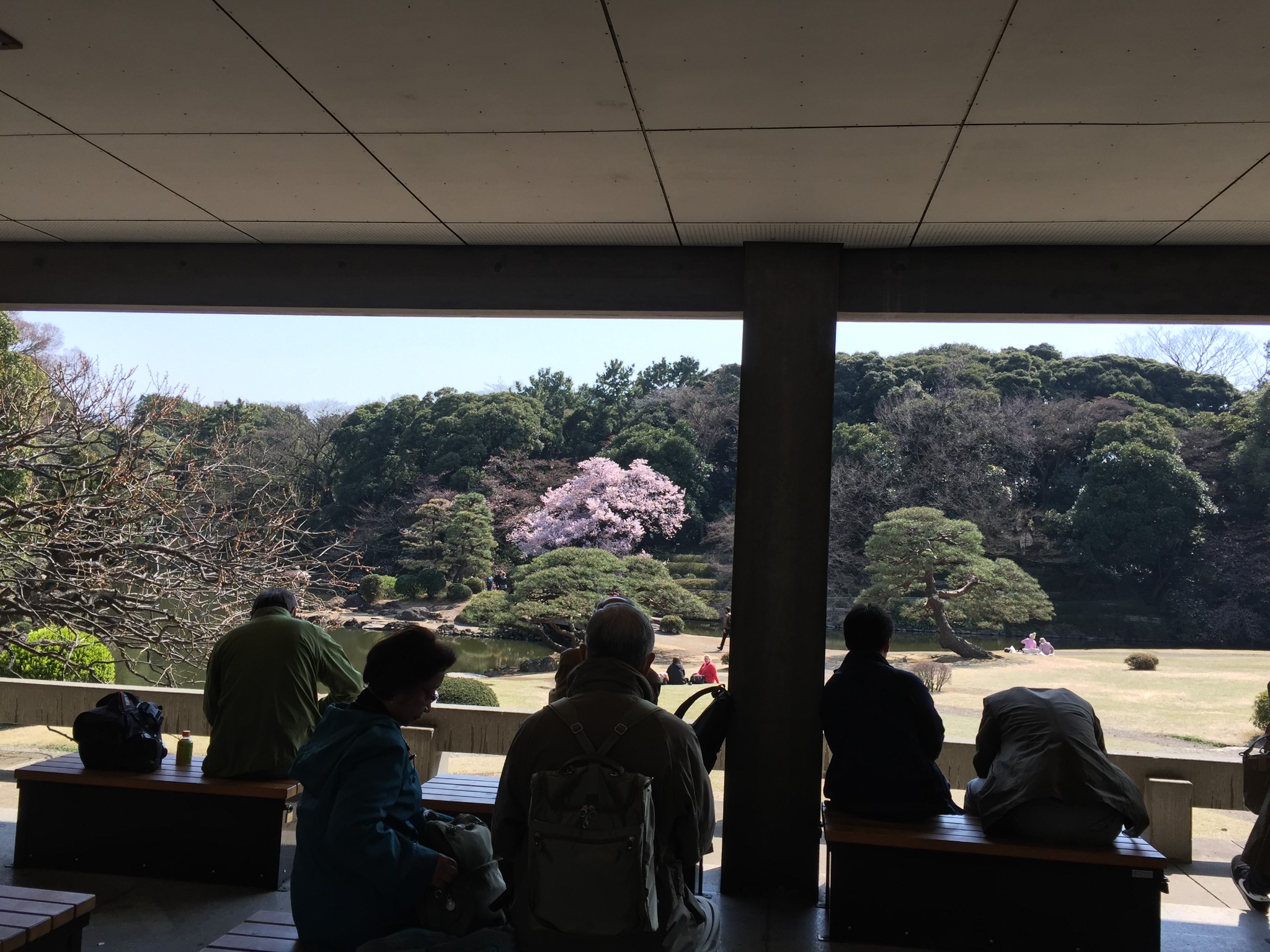 東京自助遊攻略