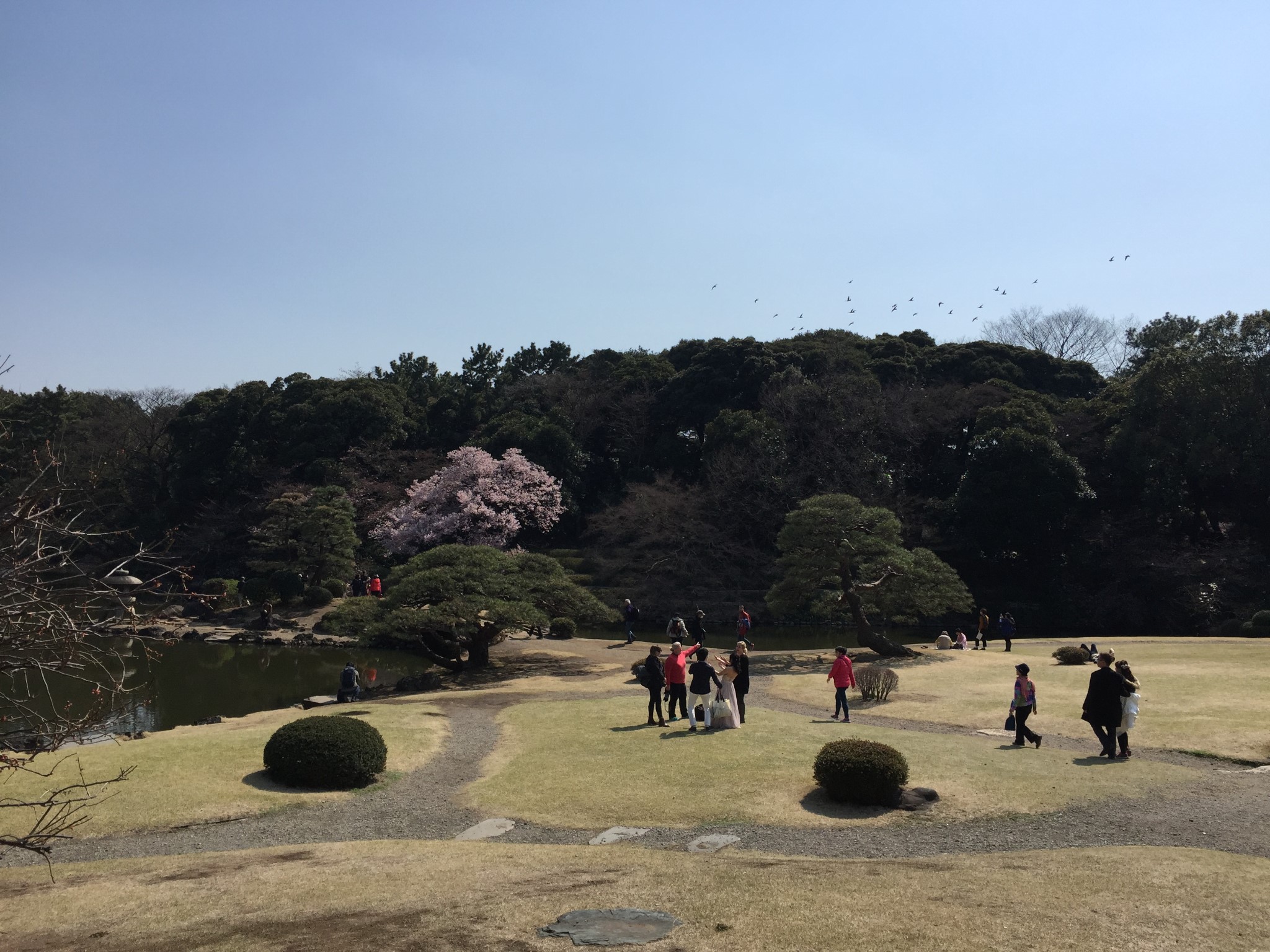 東京自助遊攻略