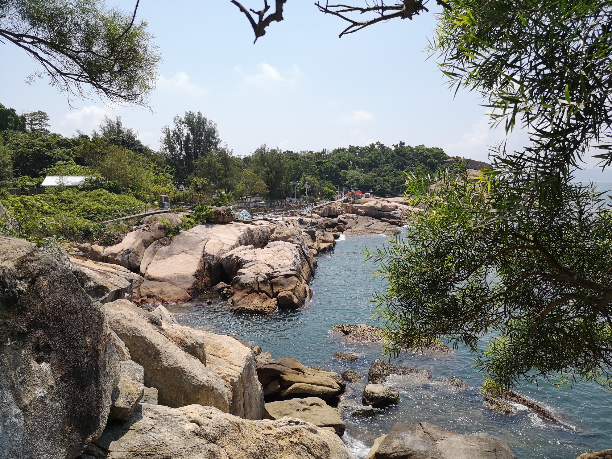 澳門(蜜蜂)(蜜蜂)香港八日遊 『 長洲島 』