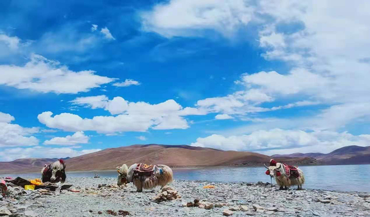 西藏阿里南线7日游 越野车丰田普拉多·无人机航拍 西藏阿里旅游 拉萨