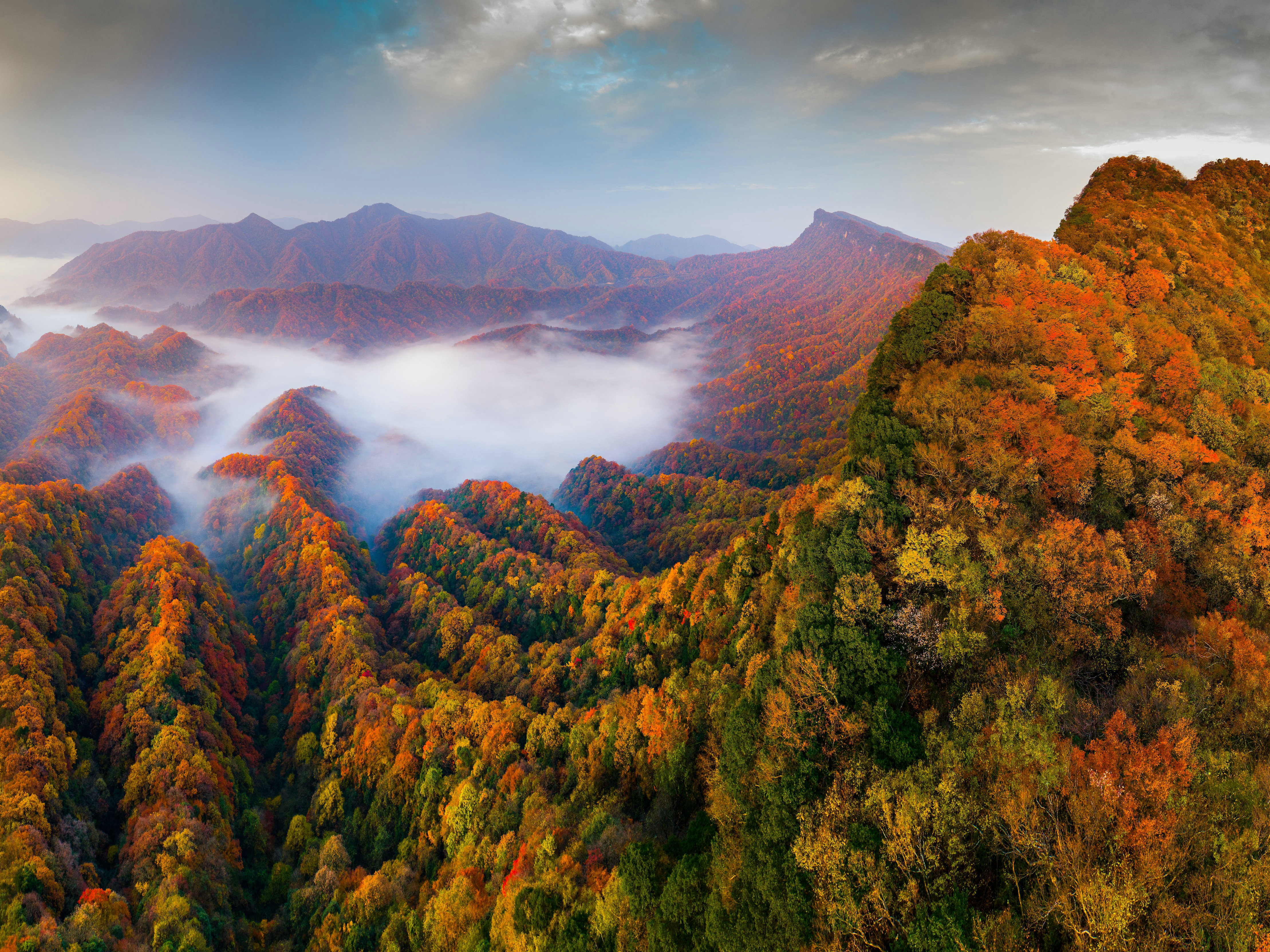 红叶碧水若人醉 中国红叶 原来在这 每年10月中旬开始 亚洲蕞大的红叶