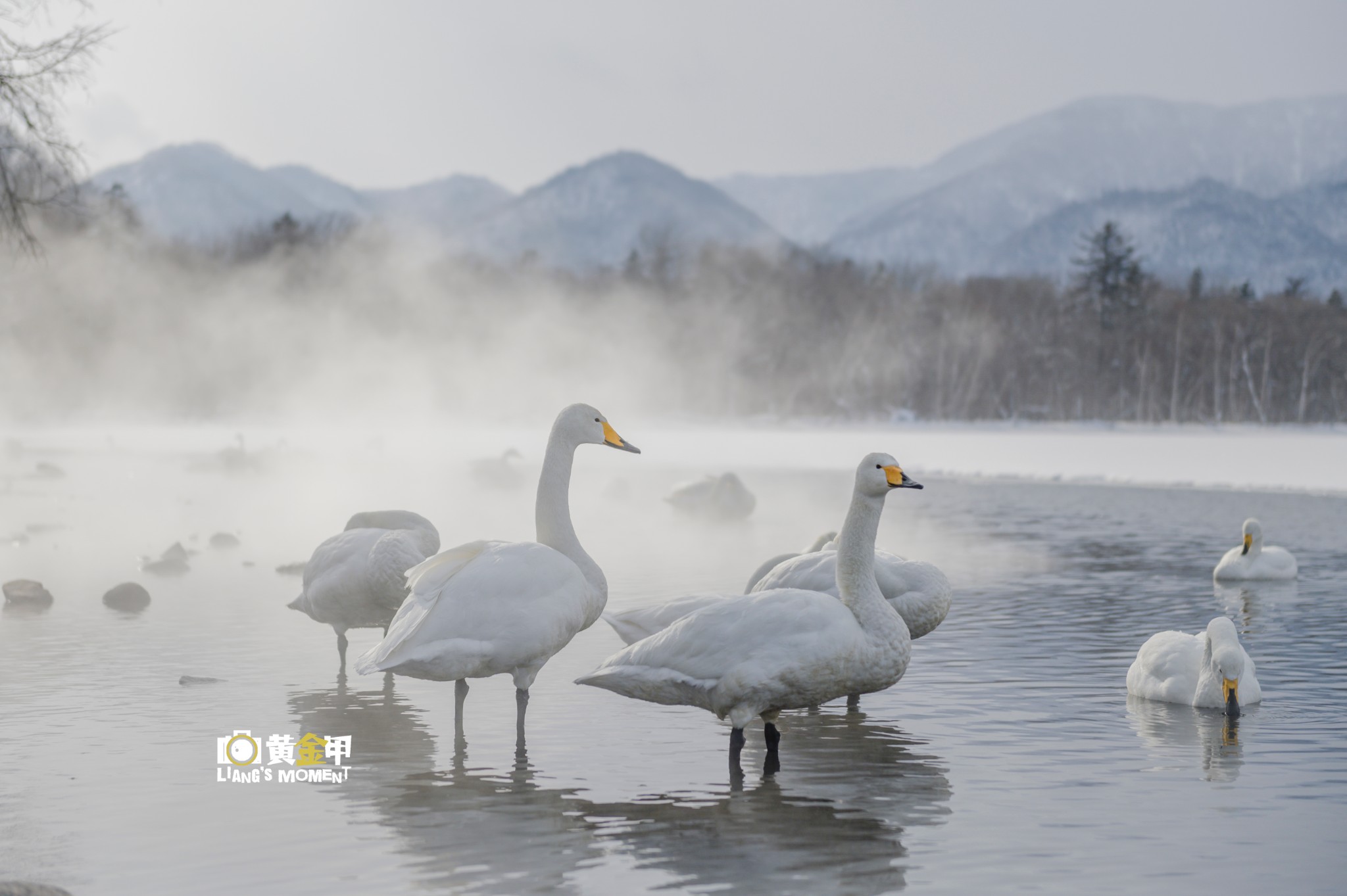 北海道自助遊攻略