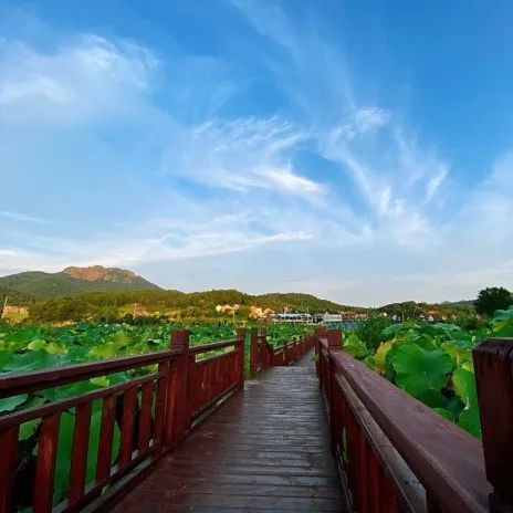 春暖花开来庐江小满田塍景区看不一样的风景