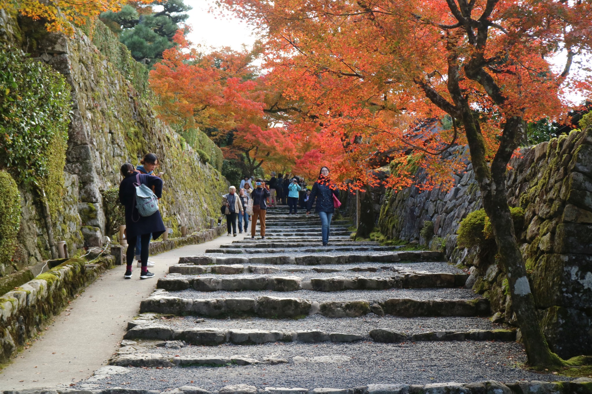 京都自助遊攻略