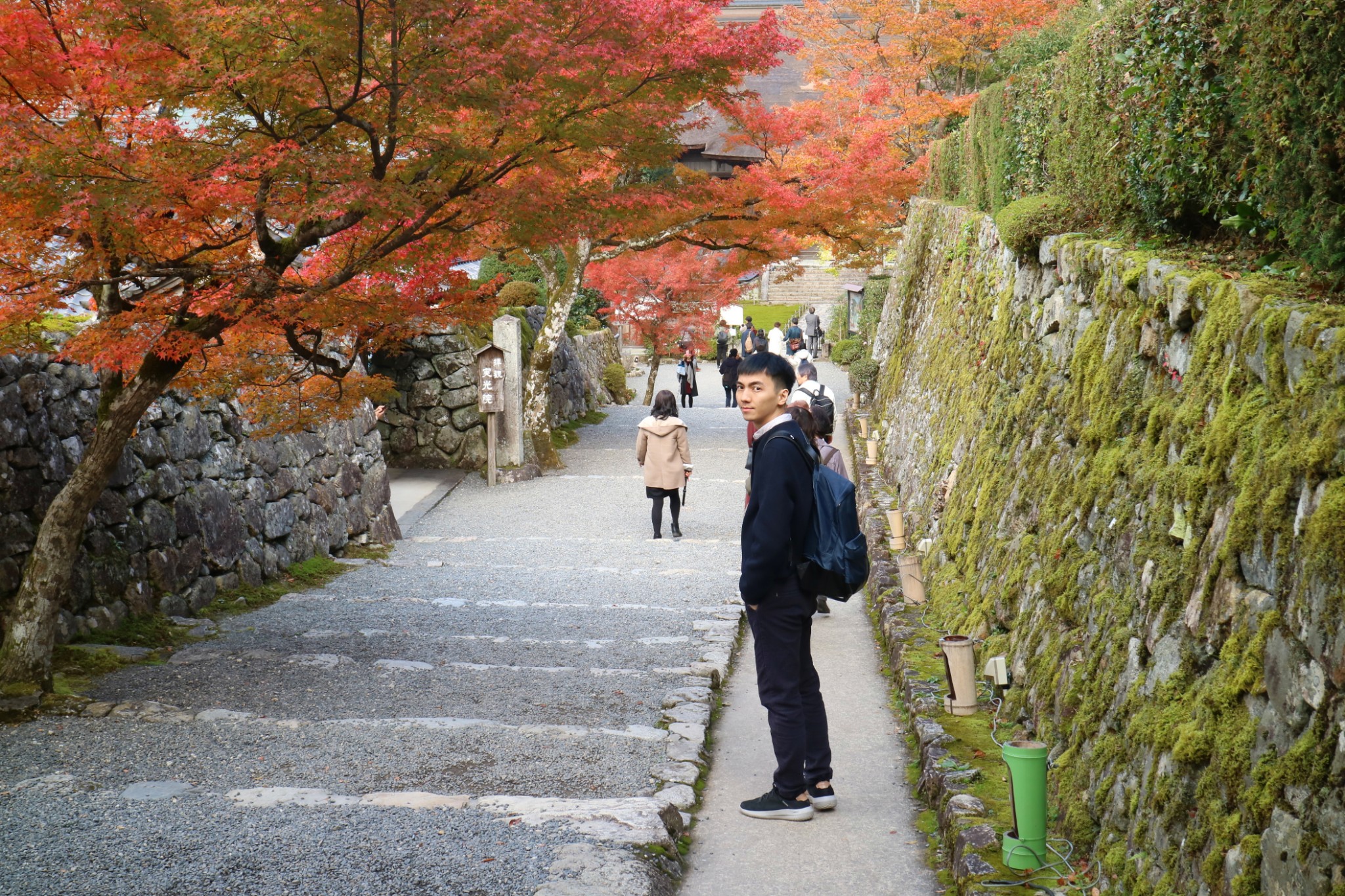 京都自助遊攻略