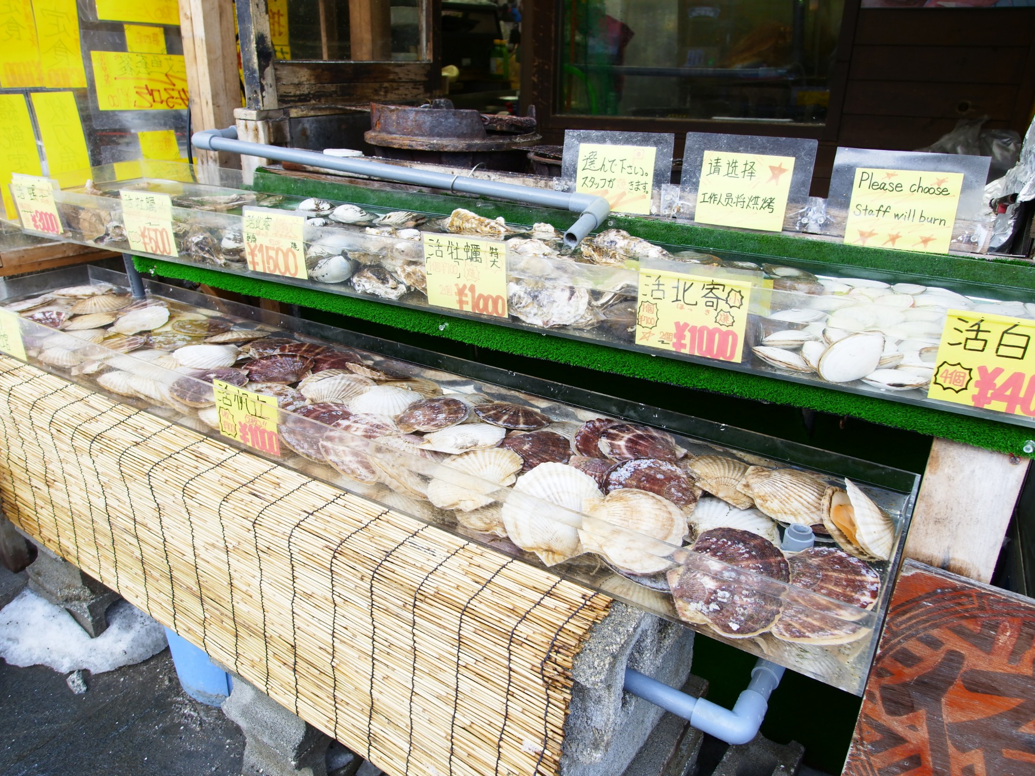 北海道自助遊攻略