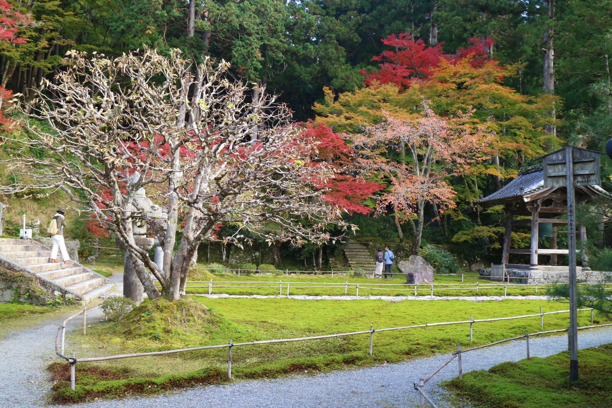 京都自助遊攻略