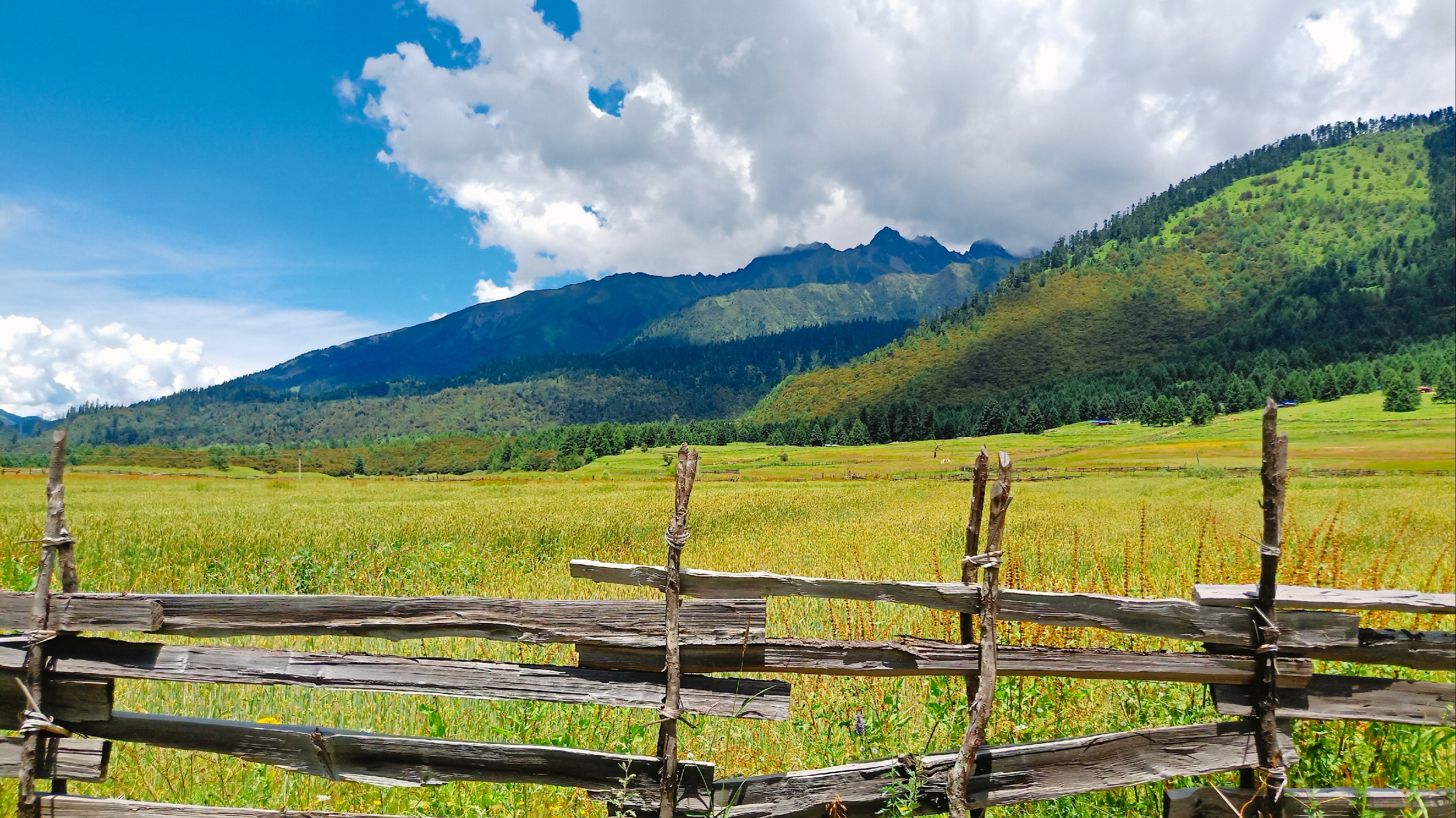 Tibet Discovery