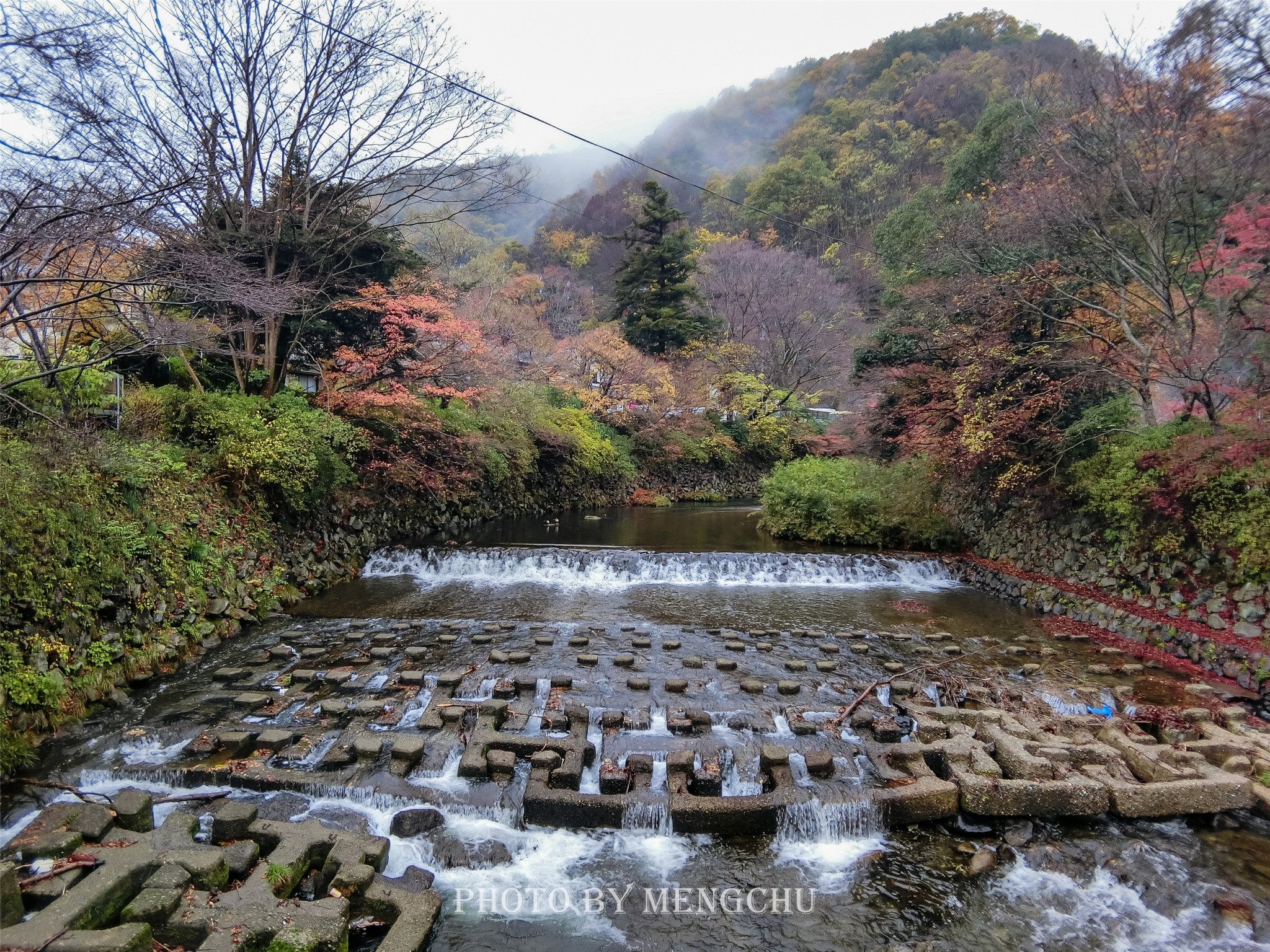 京都自助遊攻略