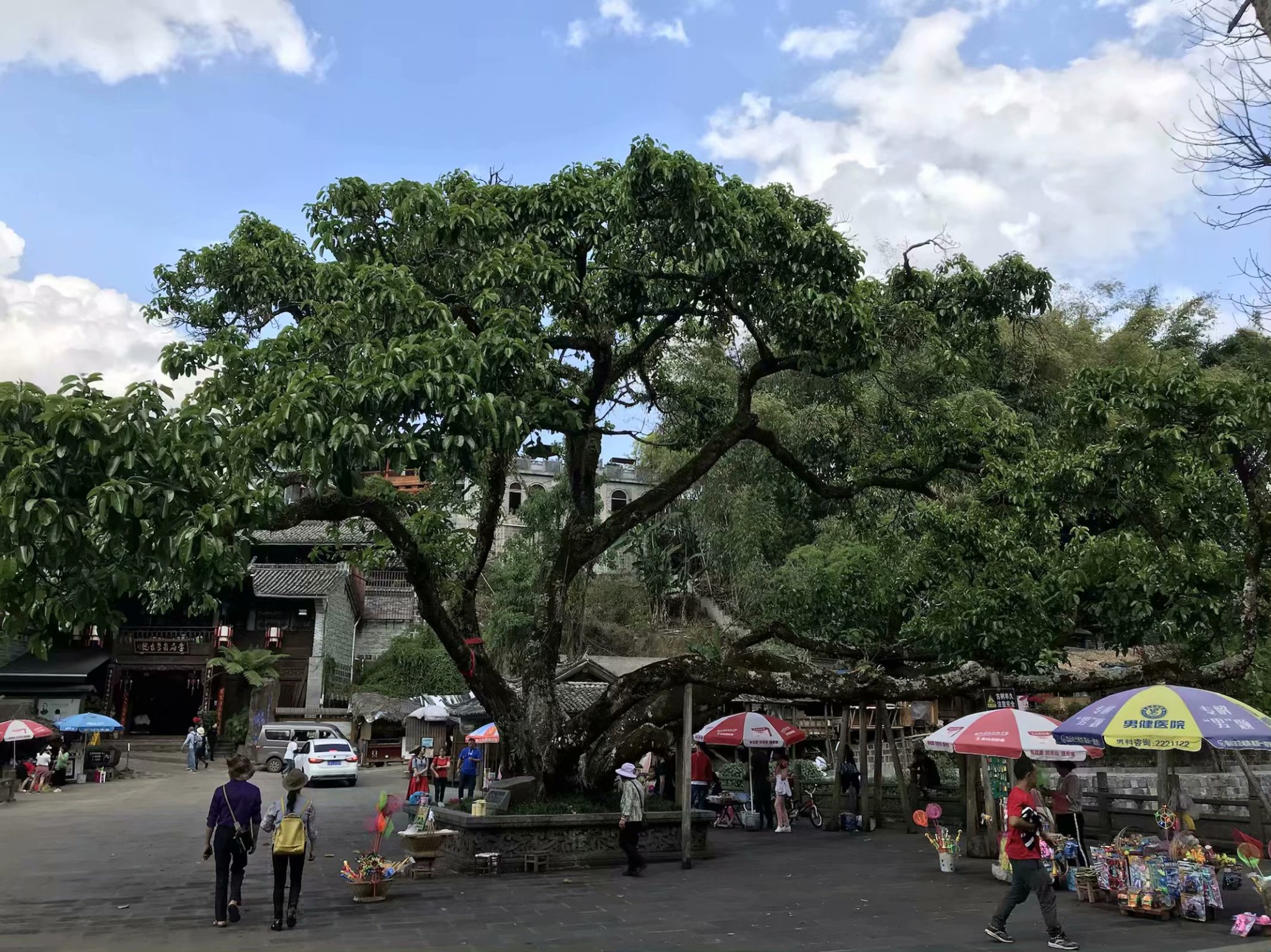 騰衝自助遊攻略