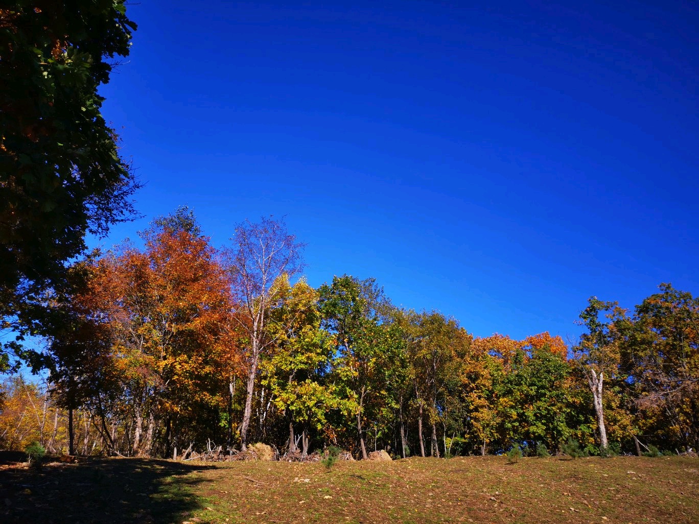 河山村