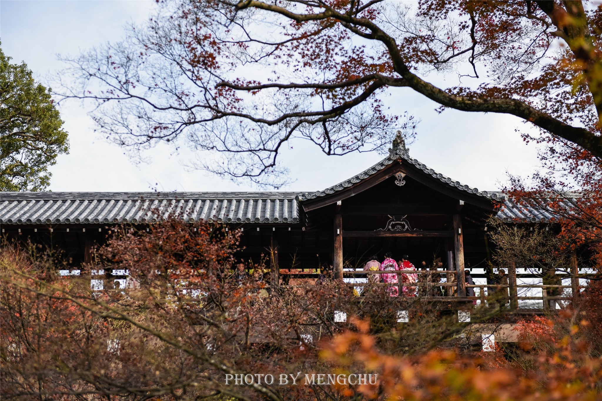 京都自助遊攻略