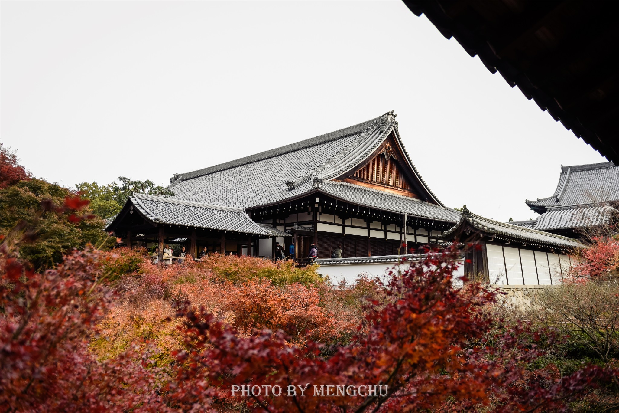 京都自助遊攻略