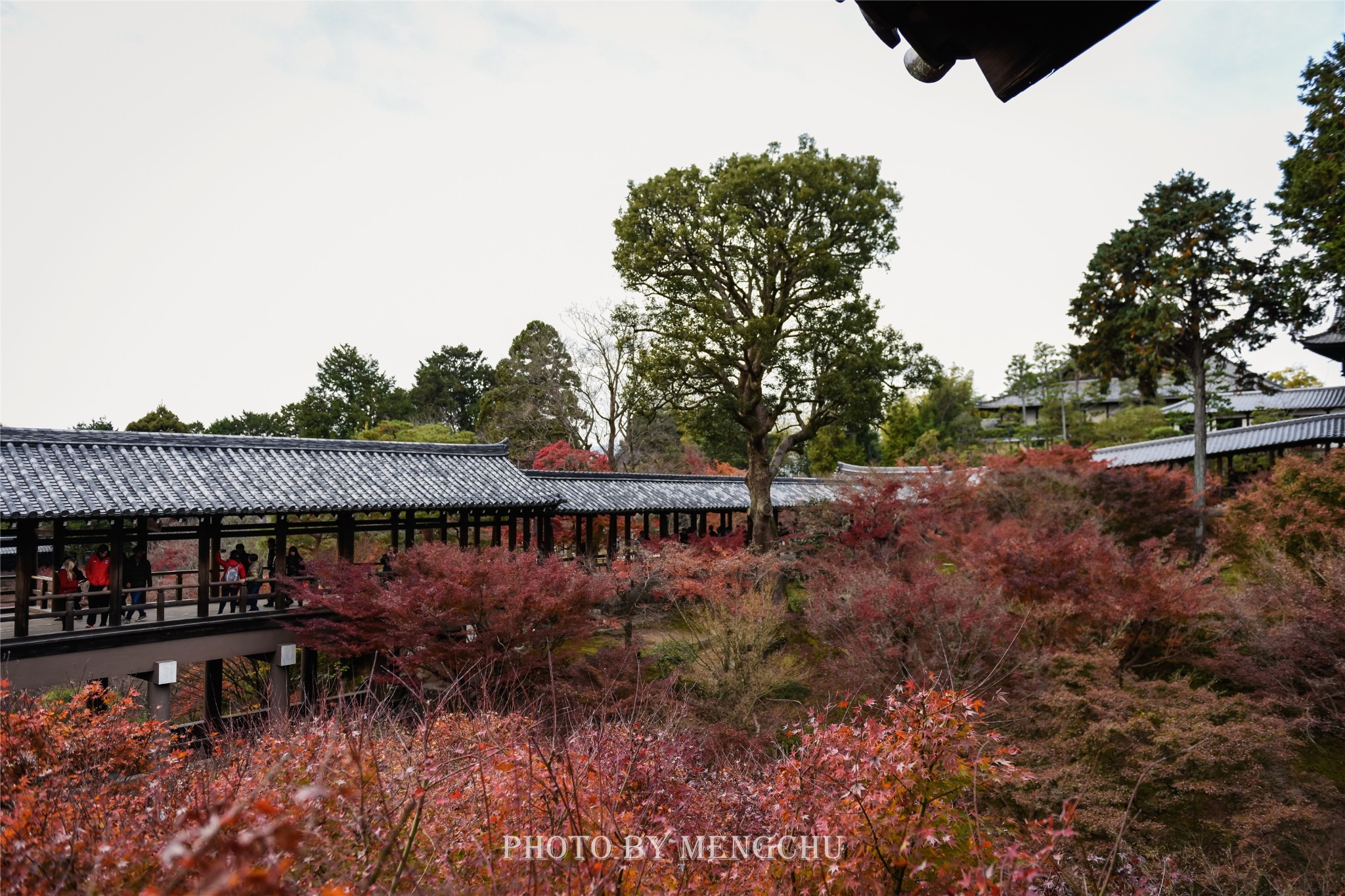 京都自助遊攻略