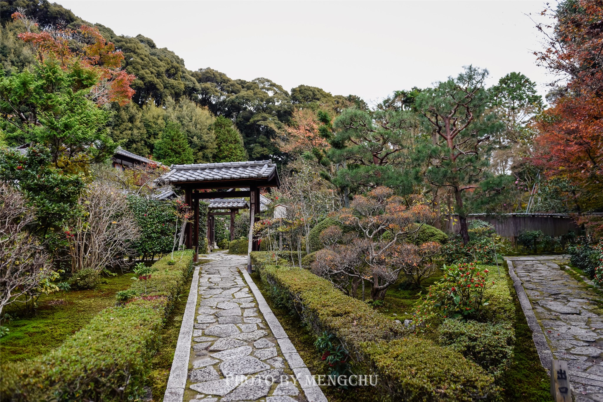 京都自助遊攻略