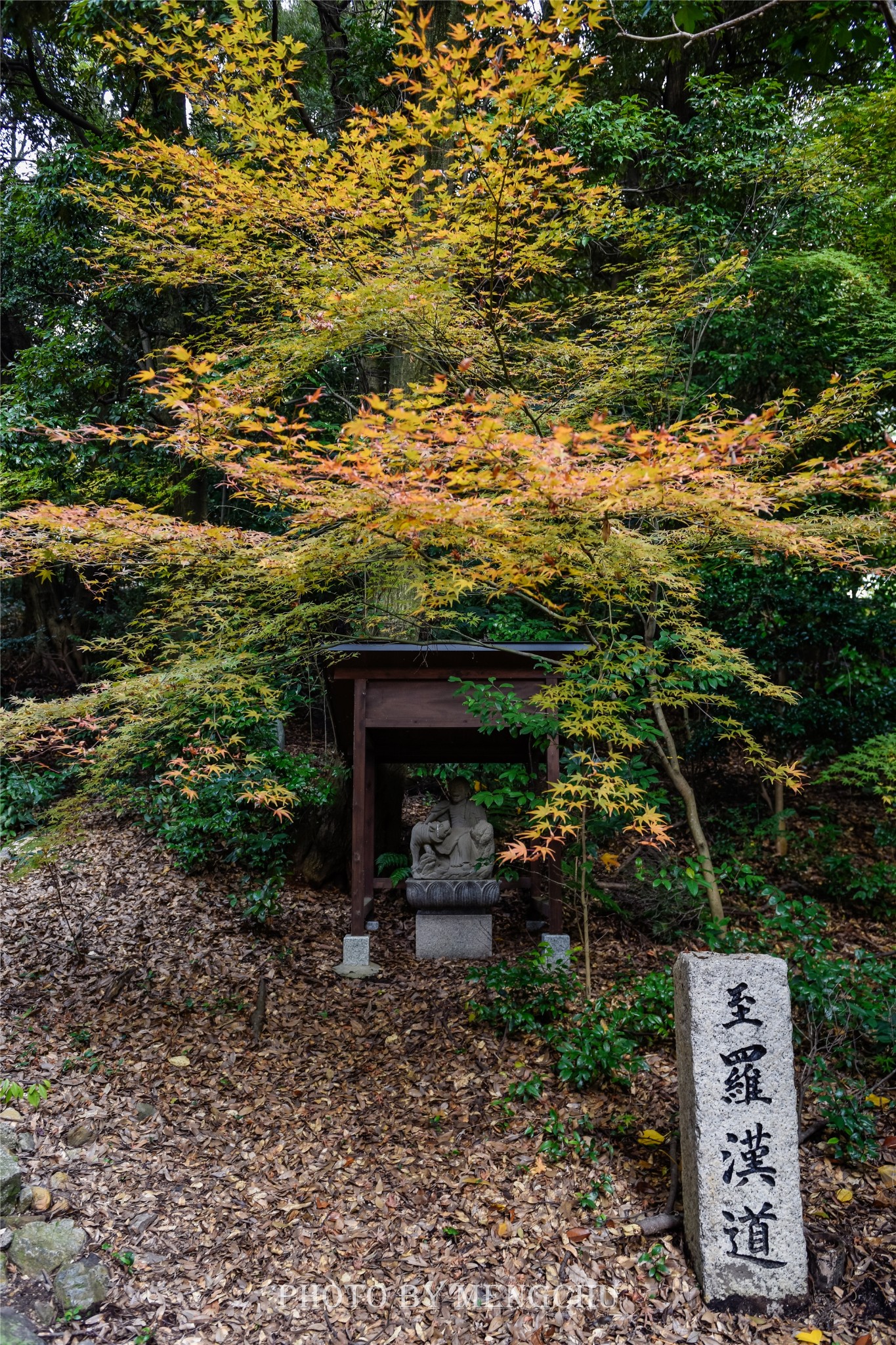 京都自助遊攻略