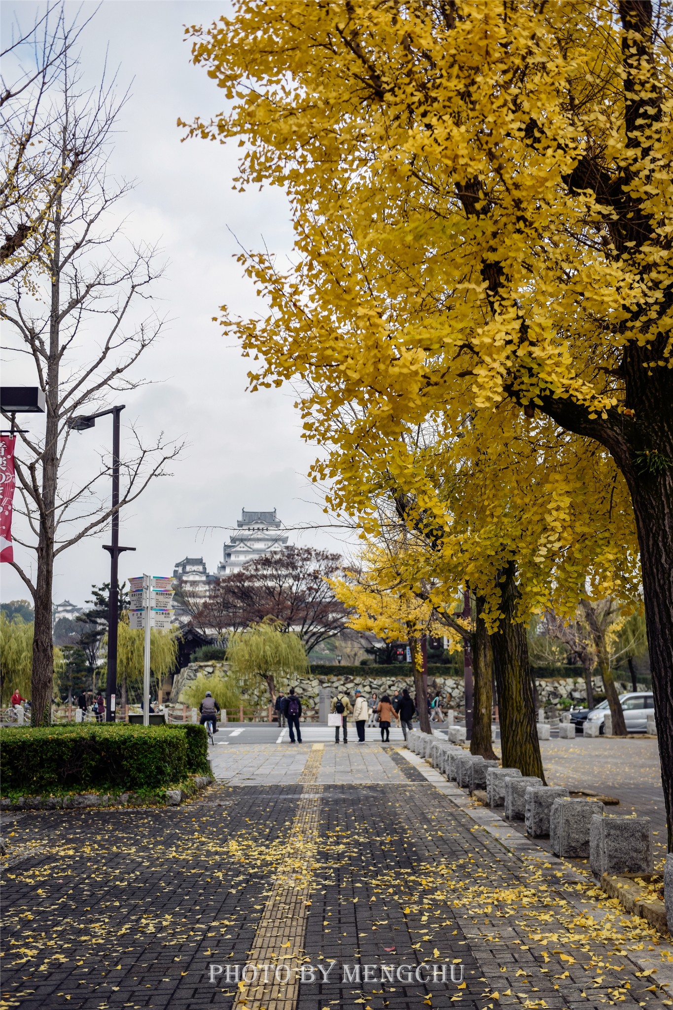 京都自助遊攻略