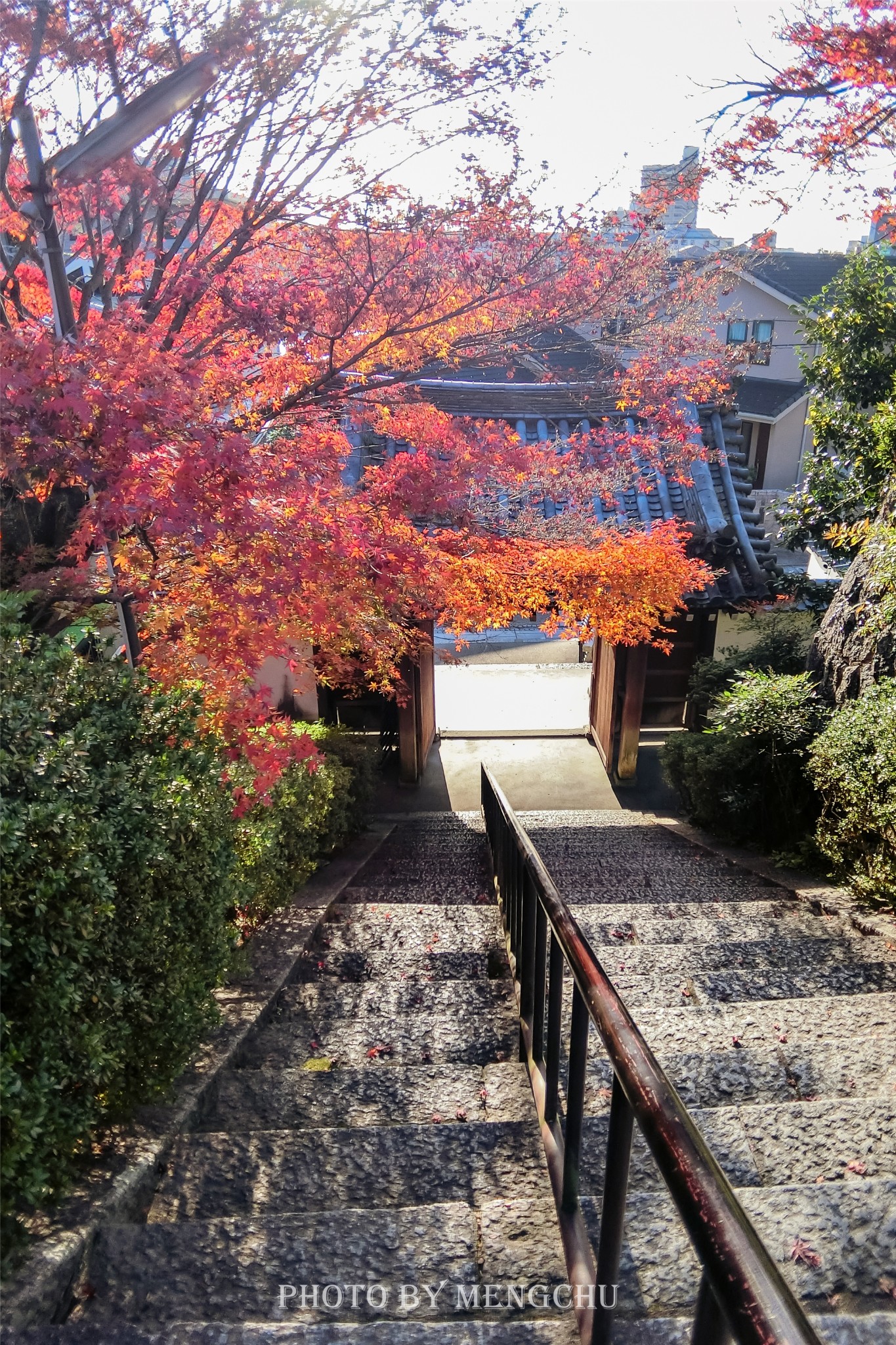 京都自助遊攻略