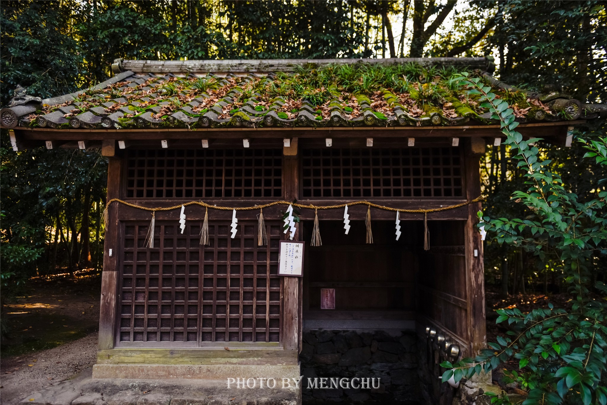 京都自助遊攻略