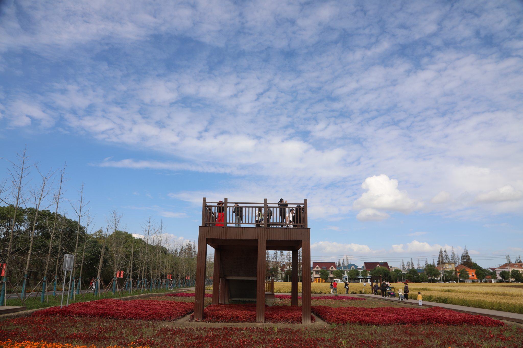 合庆郊野公园,上海自助游攻略 