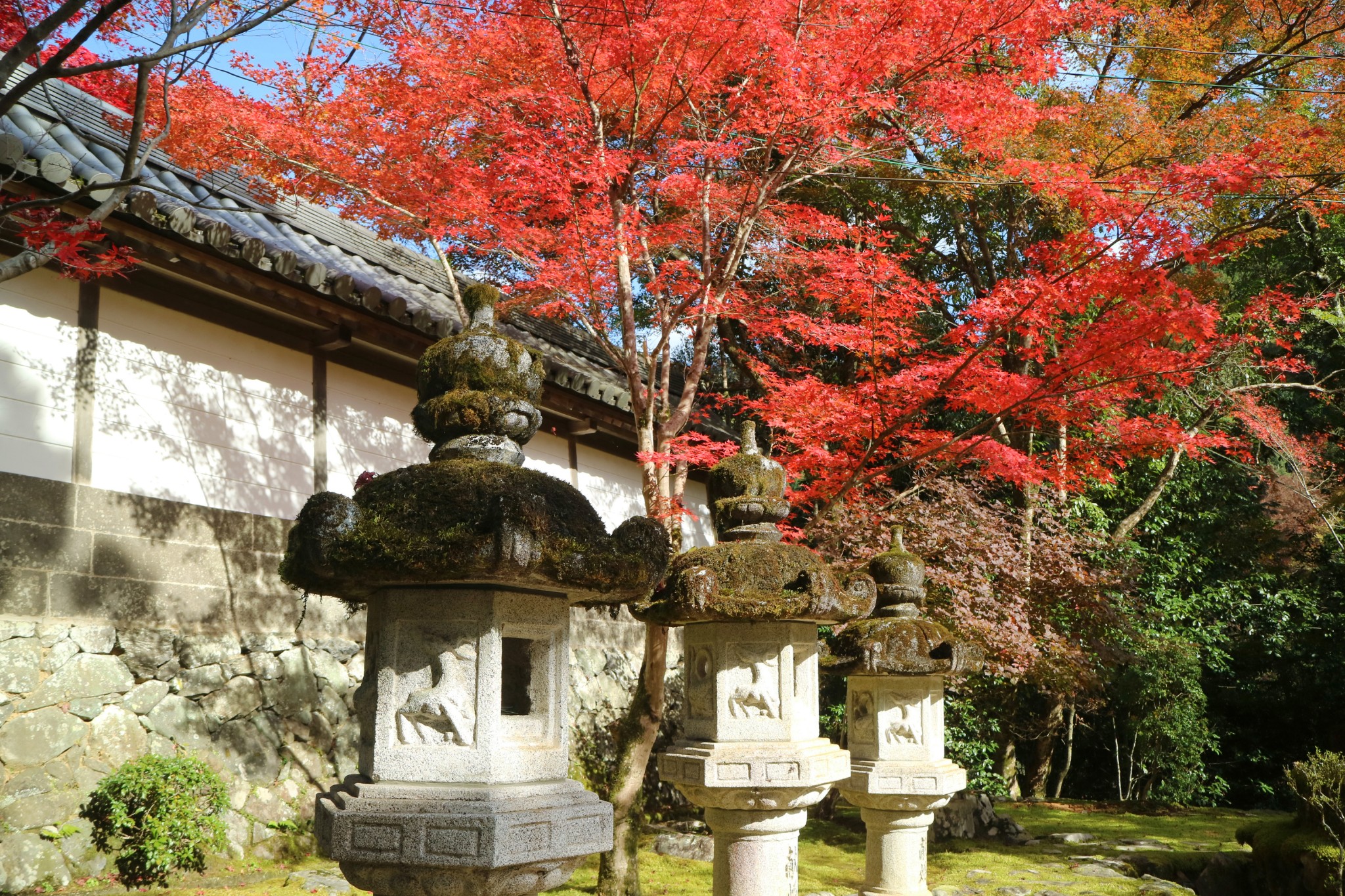 京都自助遊攻略