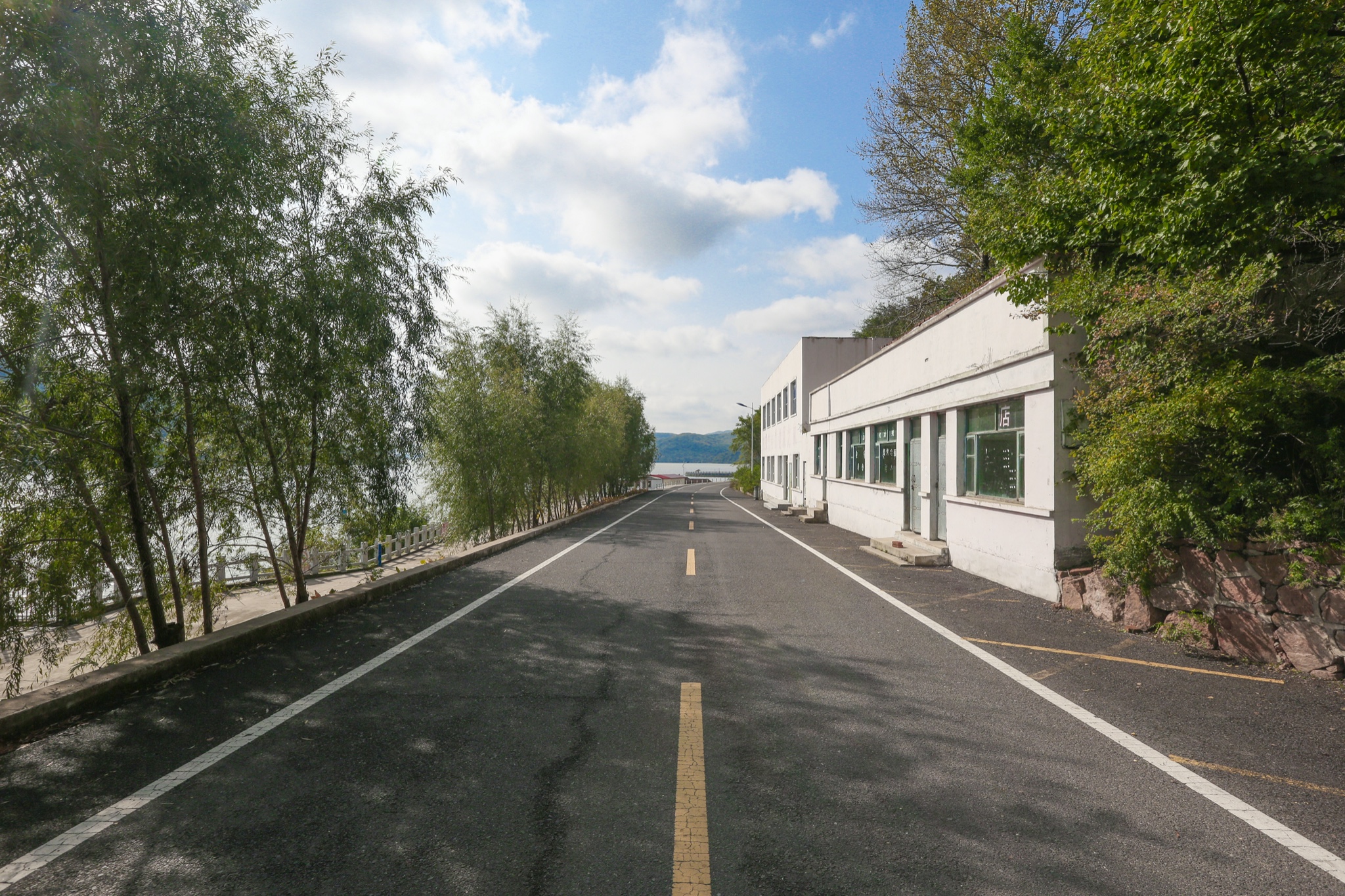 坠入稻田深处,惊起一片金色的麦浪:打卡吉林永吉万昌贡米两日游_吉林