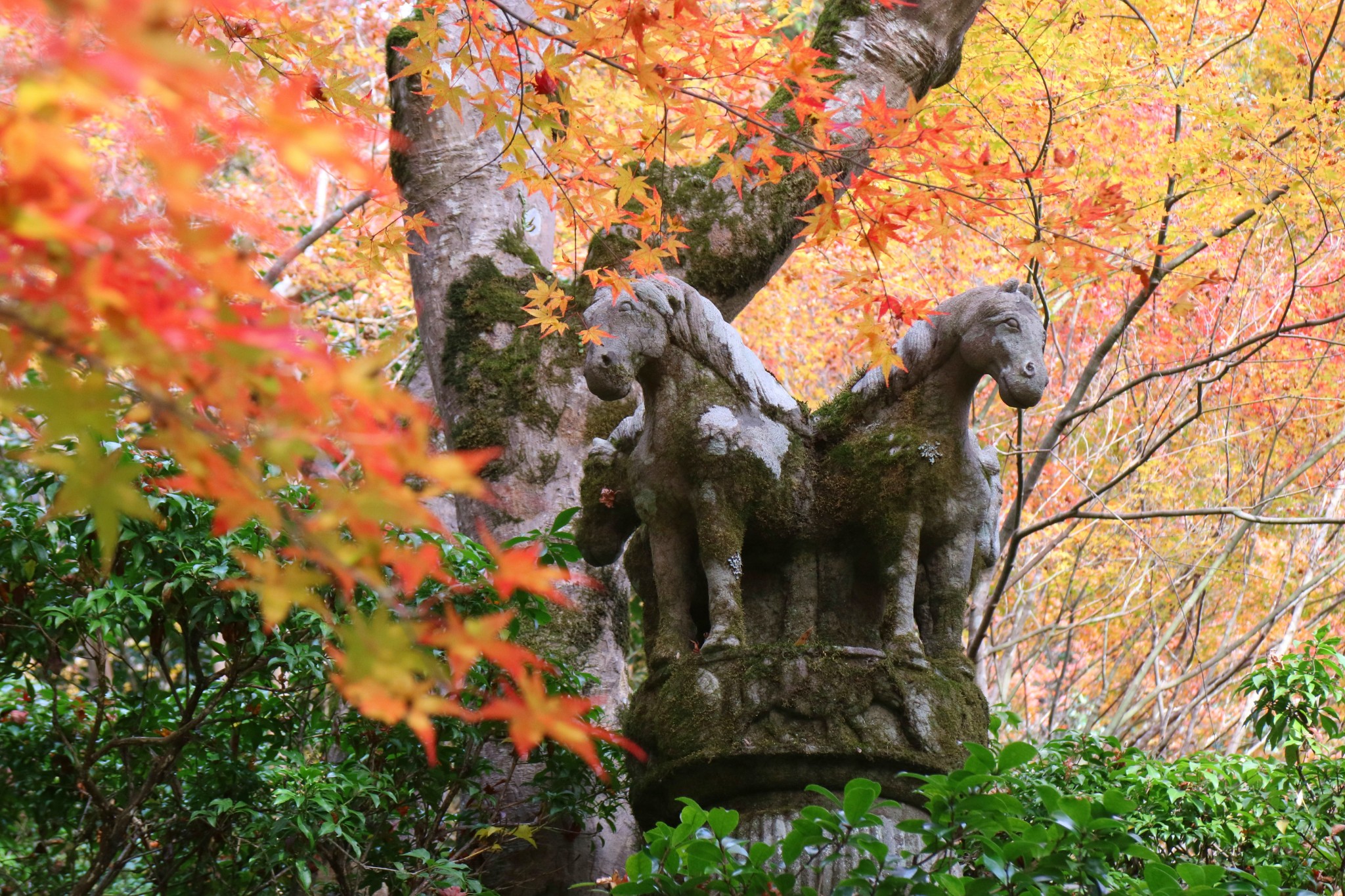 京都自助遊攻略