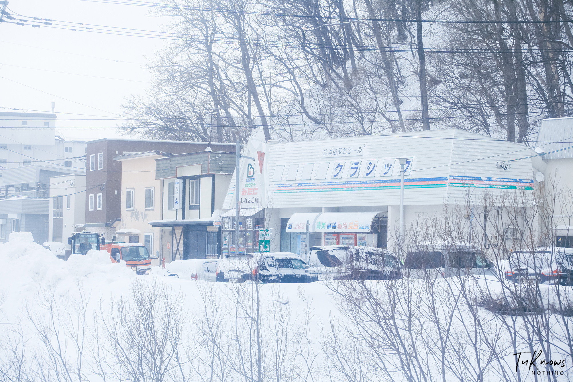 北海道自助遊攻略