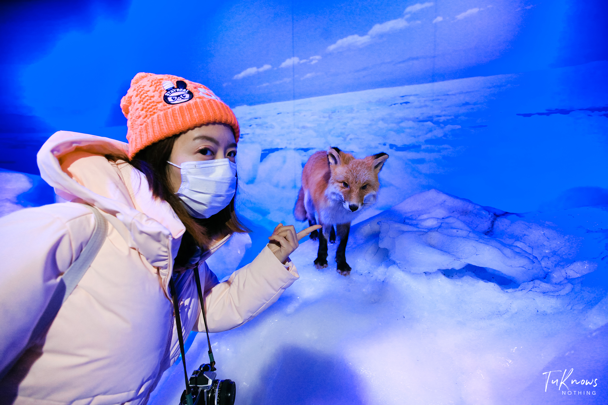 北海道自助遊攻略