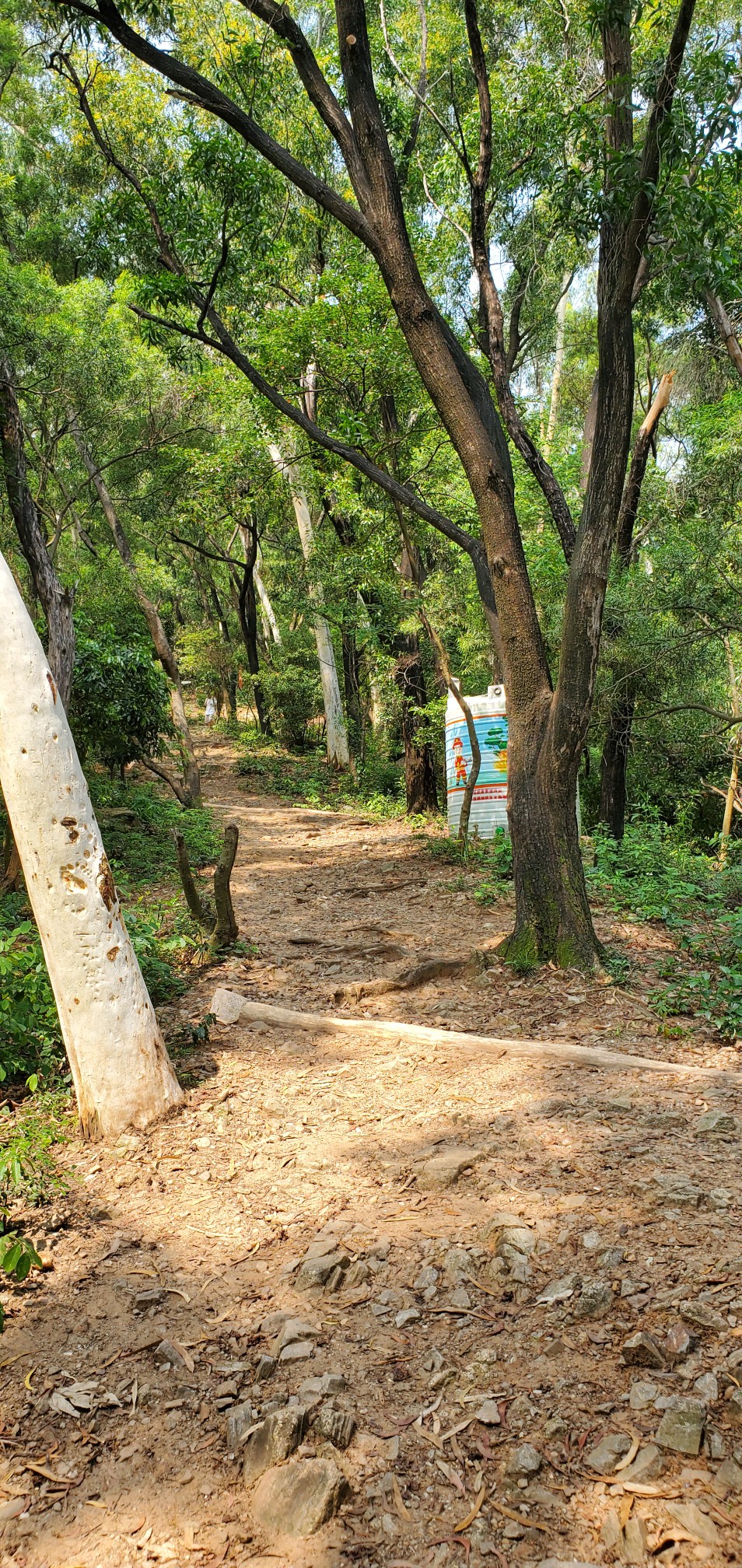 深圳梅林山郊野径徒步