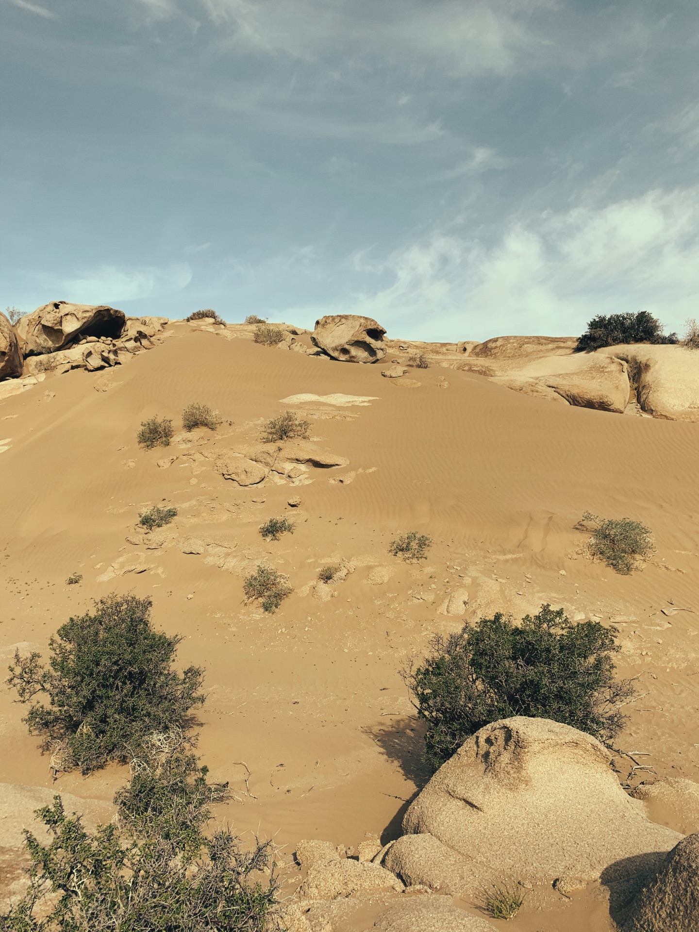 震撼眼球——戈壁荒漠风沙肆虐过的石头,阿拉善右旗旅游攻略 - 马蜂窝