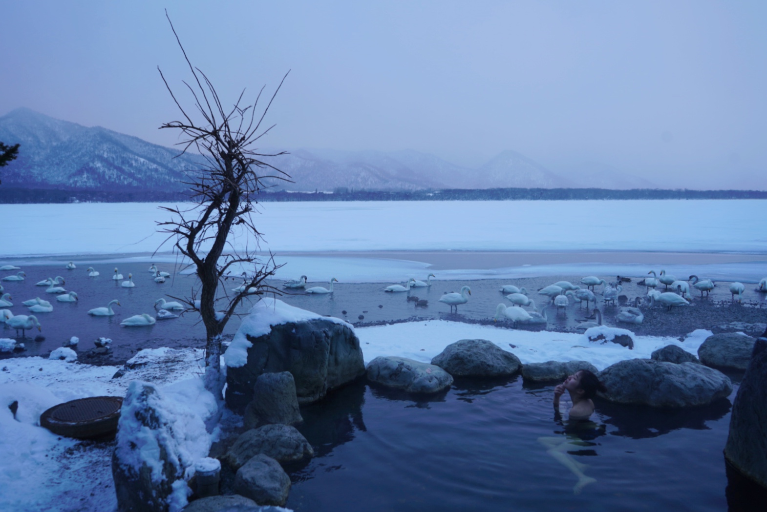 北海道自助遊攻略