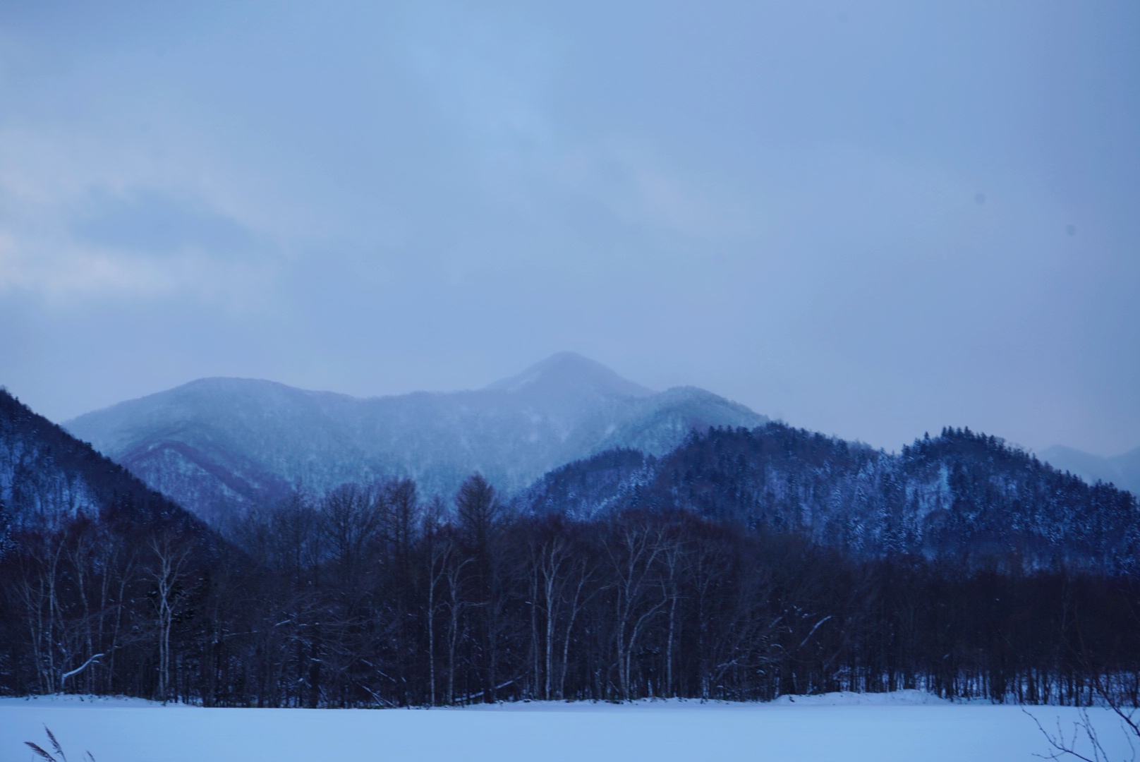 北海道自助遊攻略