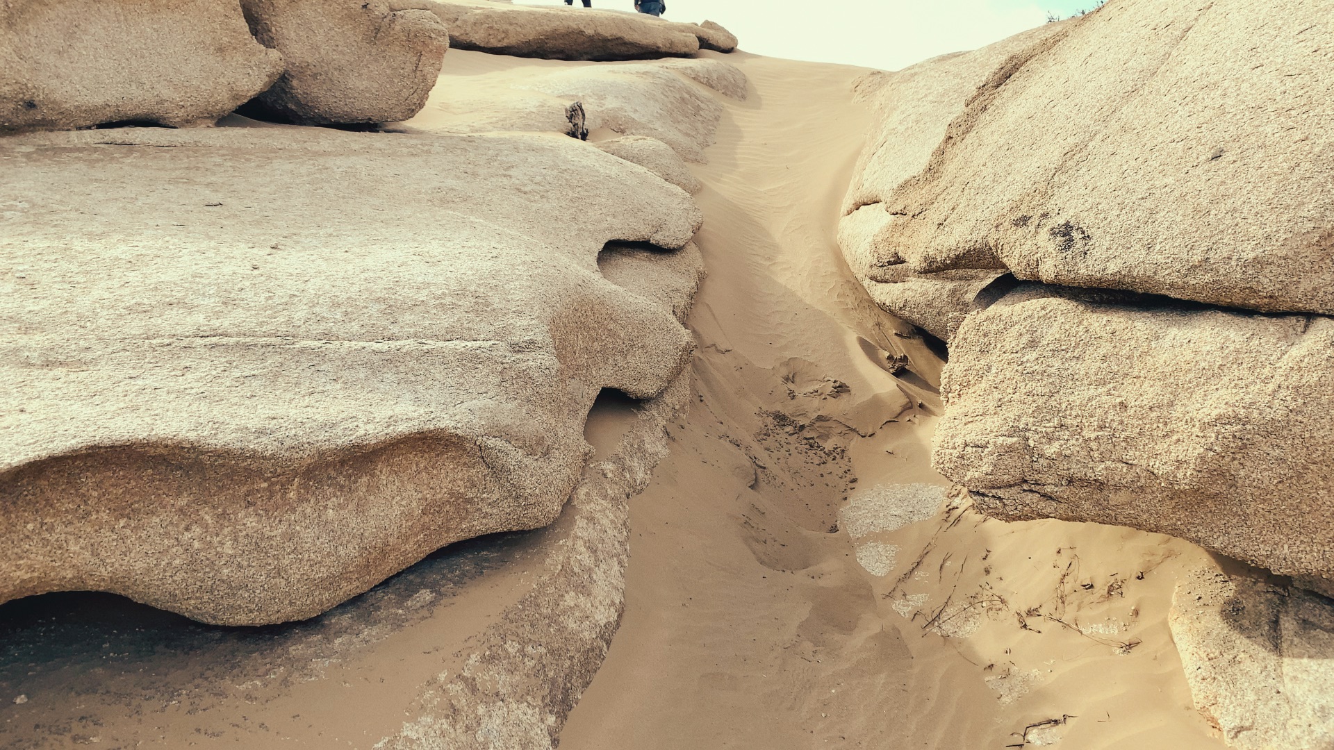 震撼眼球——戈壁荒漠风沙肆虐过的石头