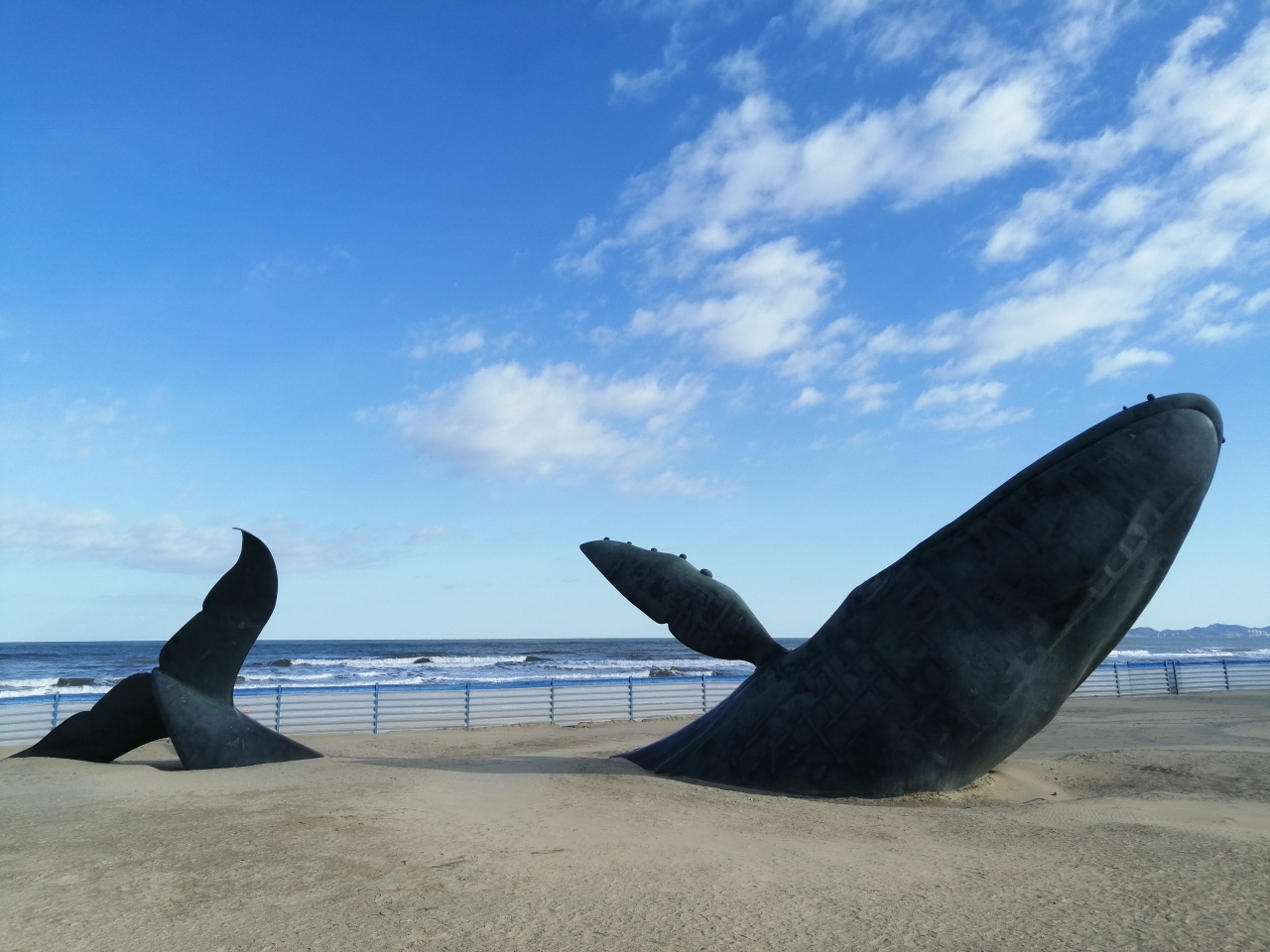 如鲸向海98,烟台旅游攻略 - 马蜂窝