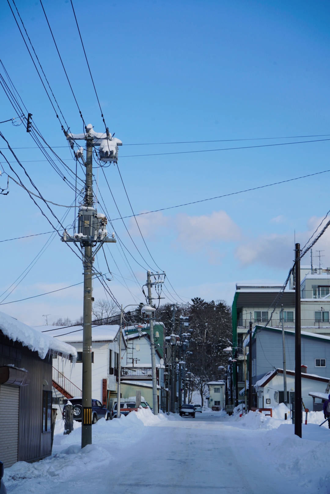 北海道自助遊攻略