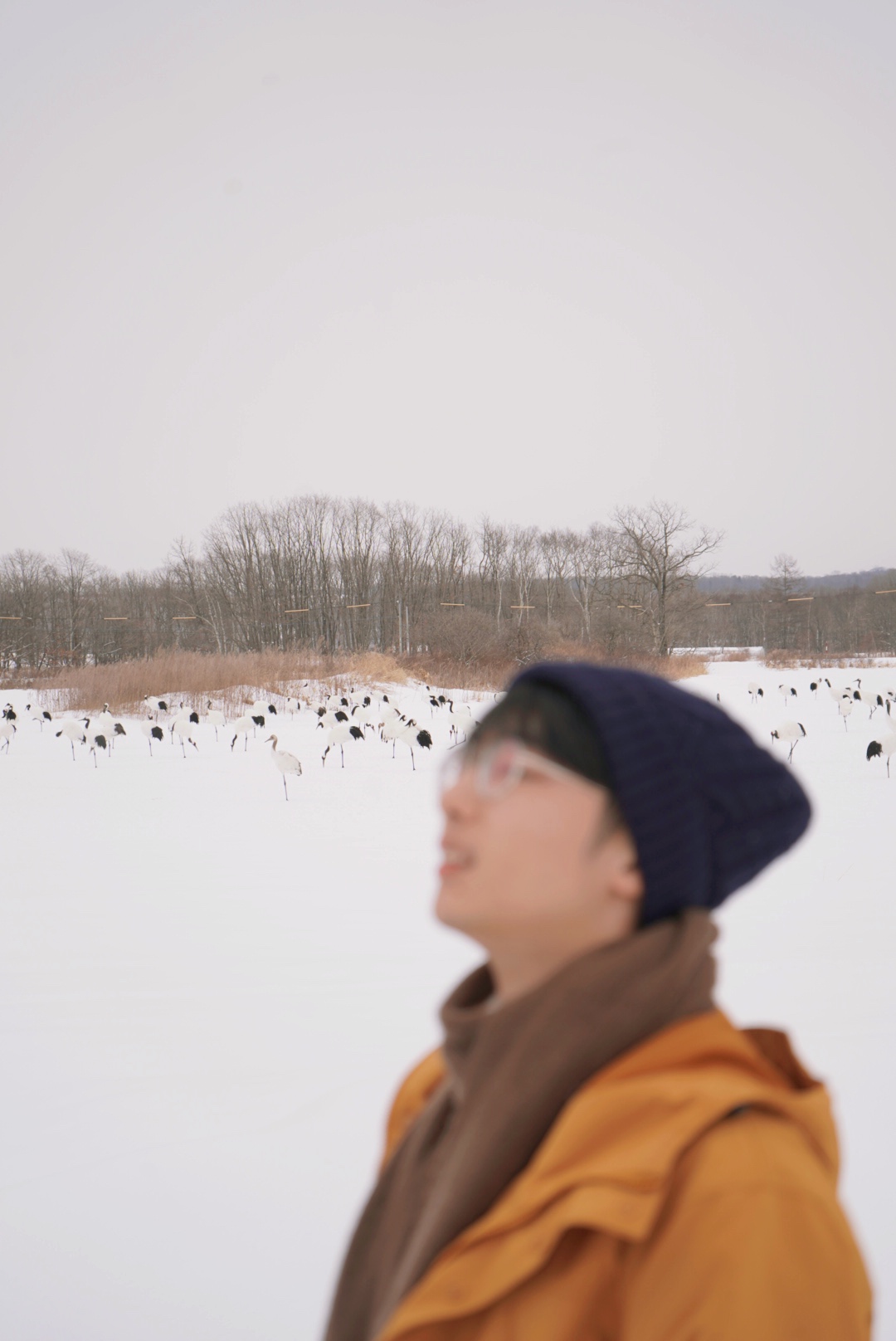 北海道自助遊攻略