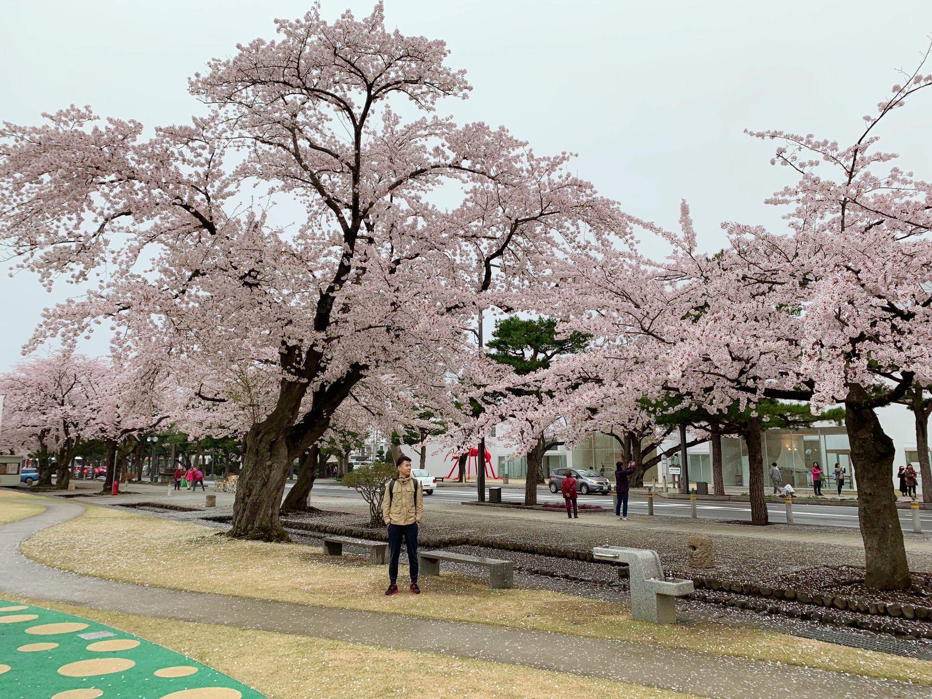 青森縣自助遊攻略